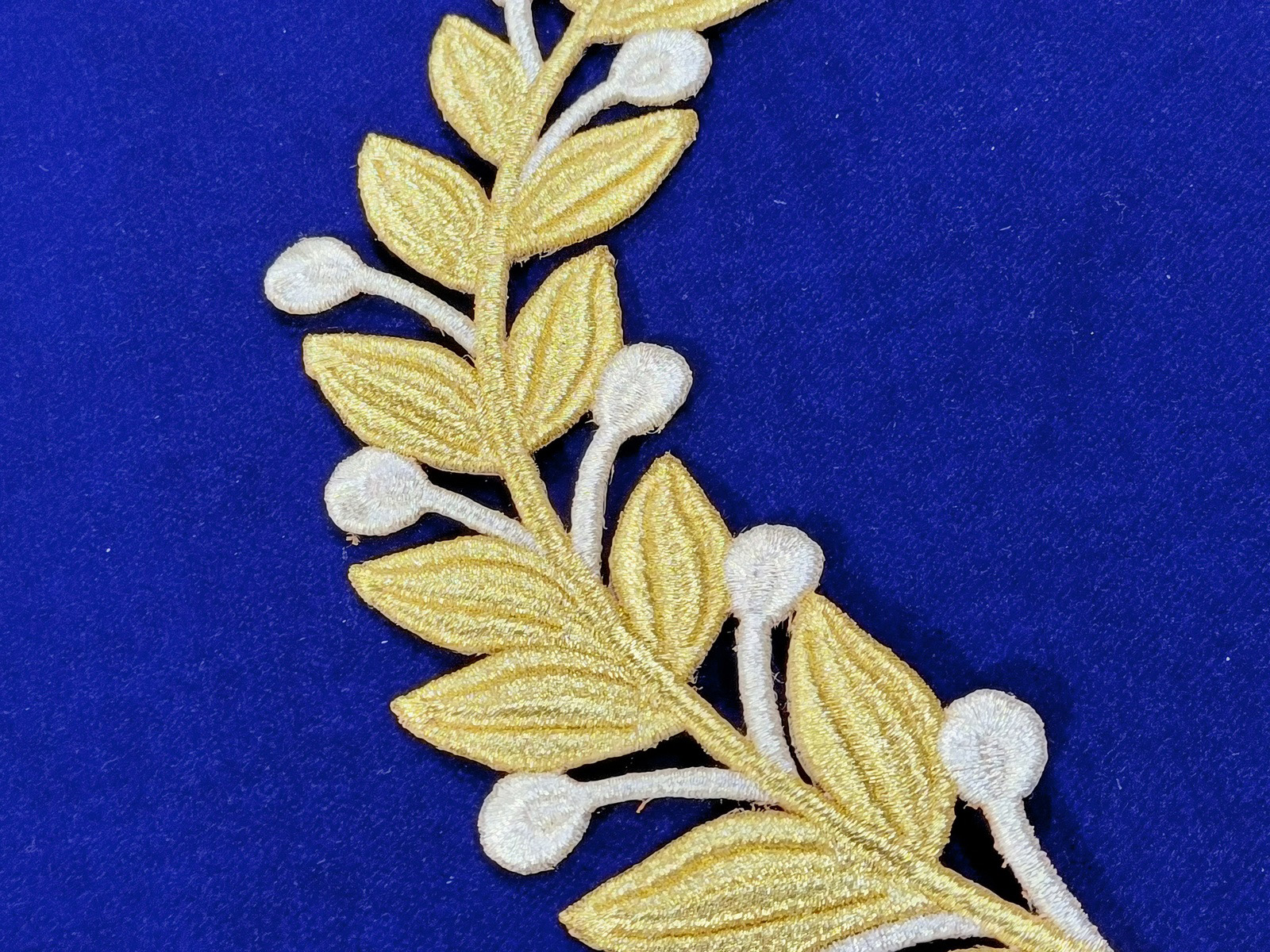 Slide Image