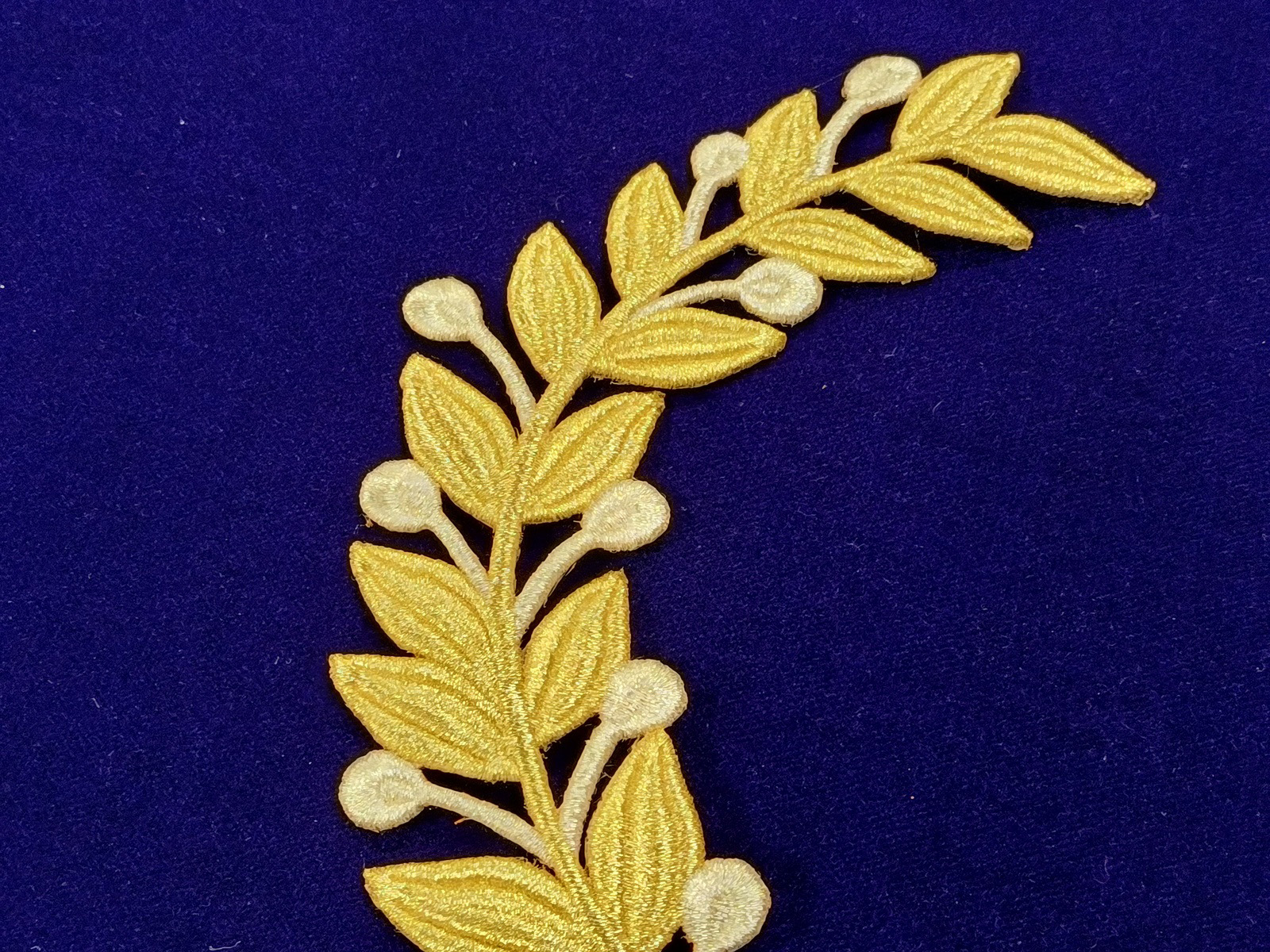 Slide Image