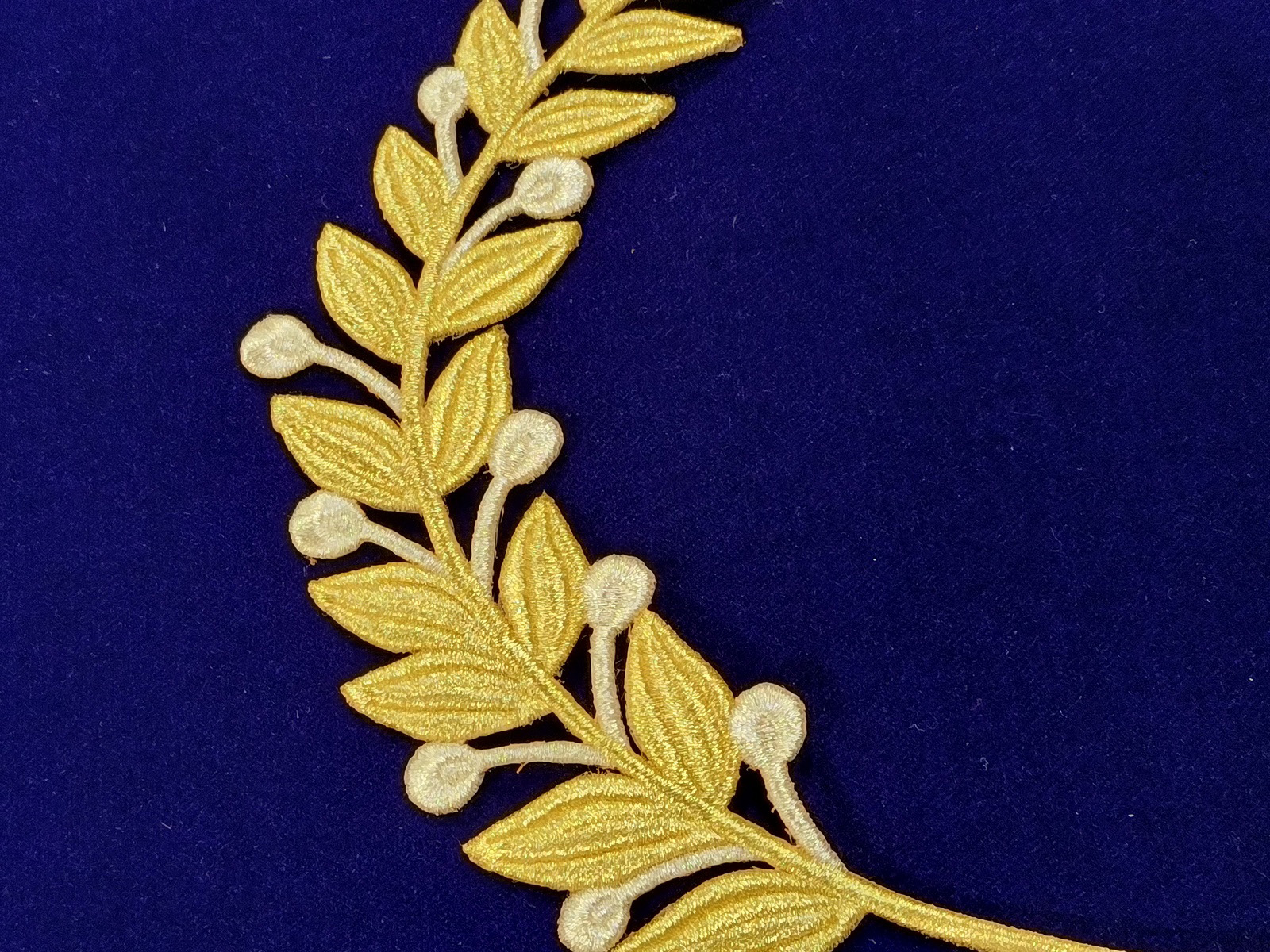 Slide Image