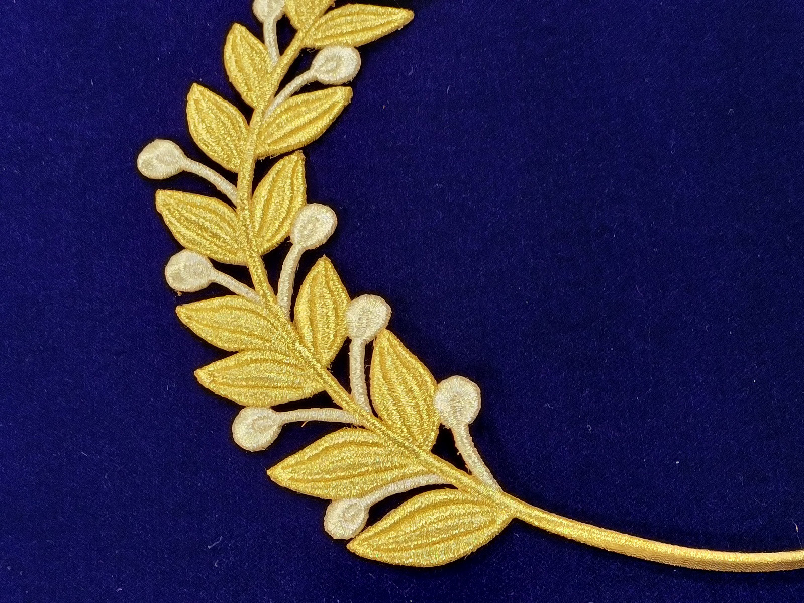 Slide Image