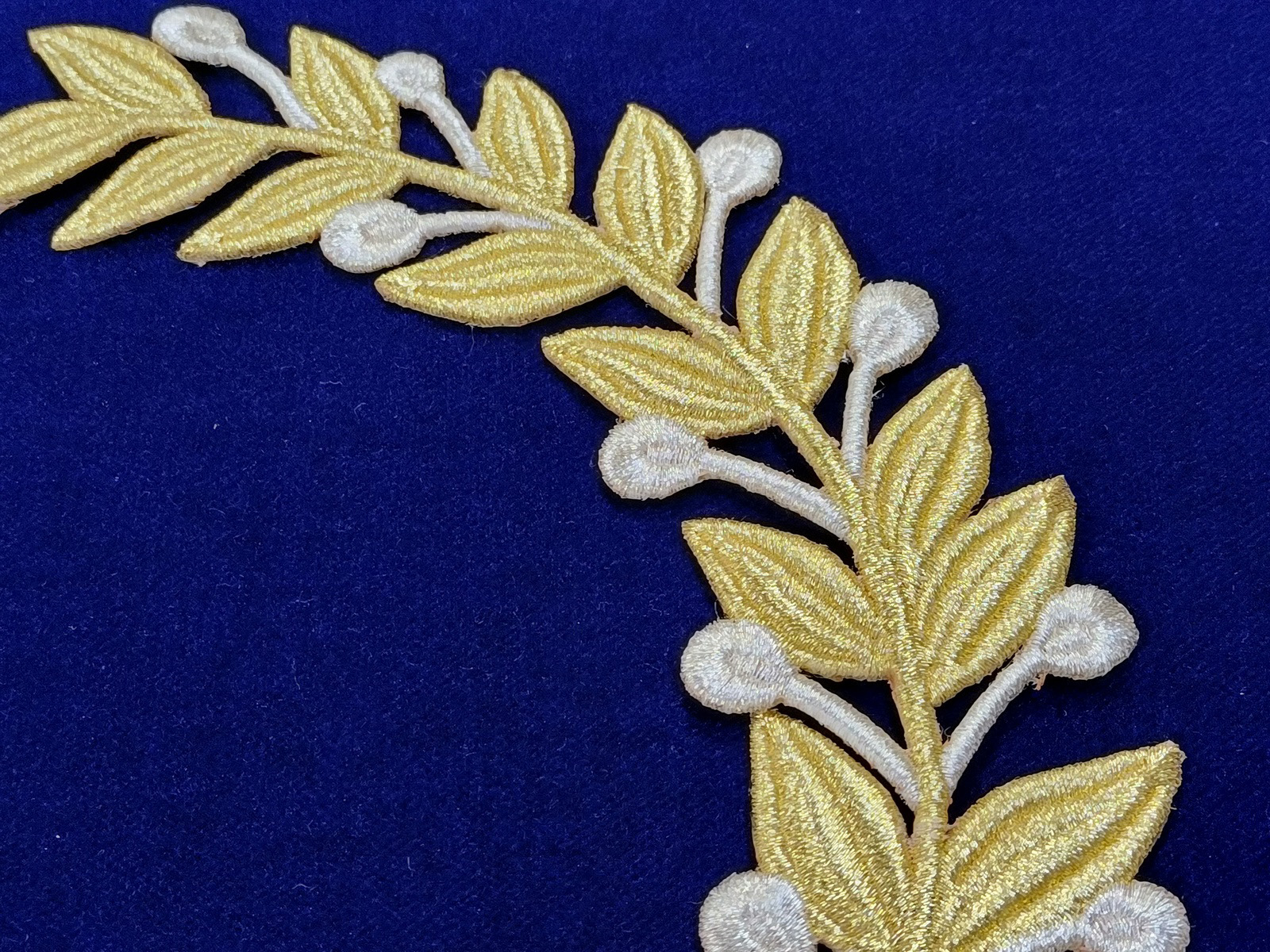 Slide Image