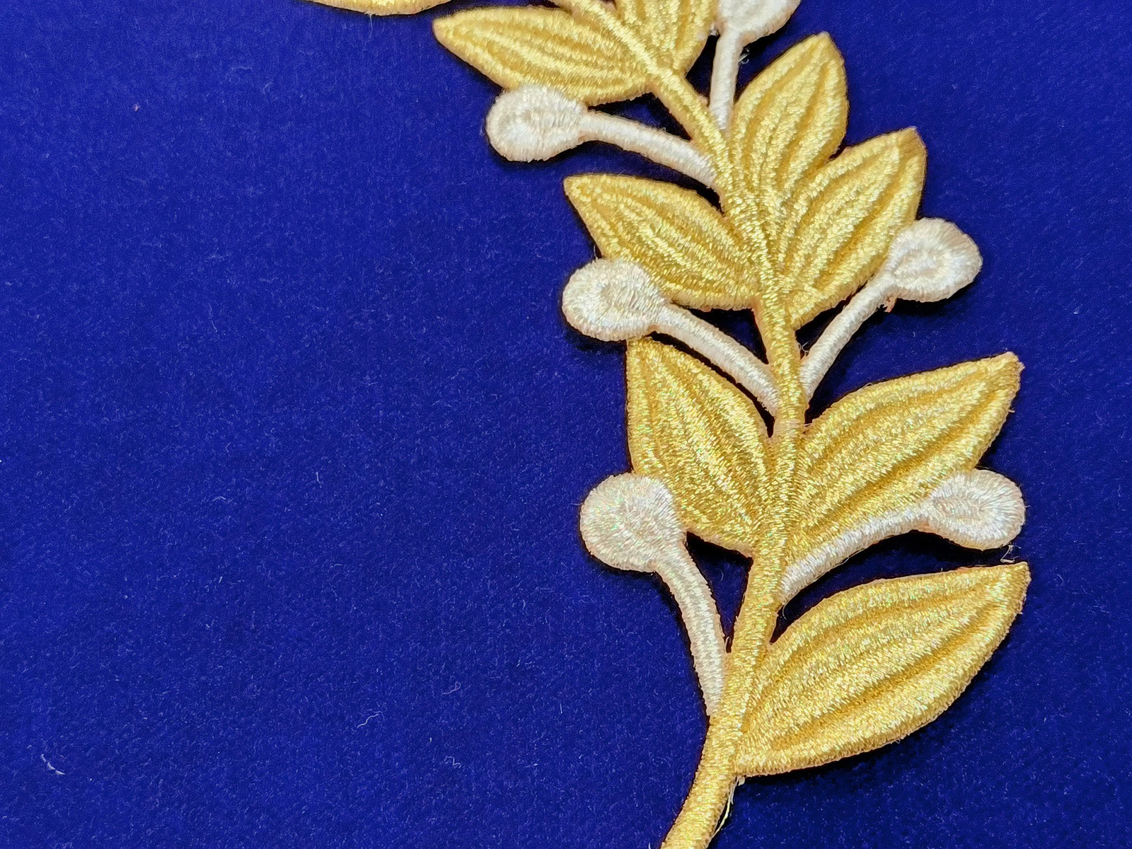 Slide Image