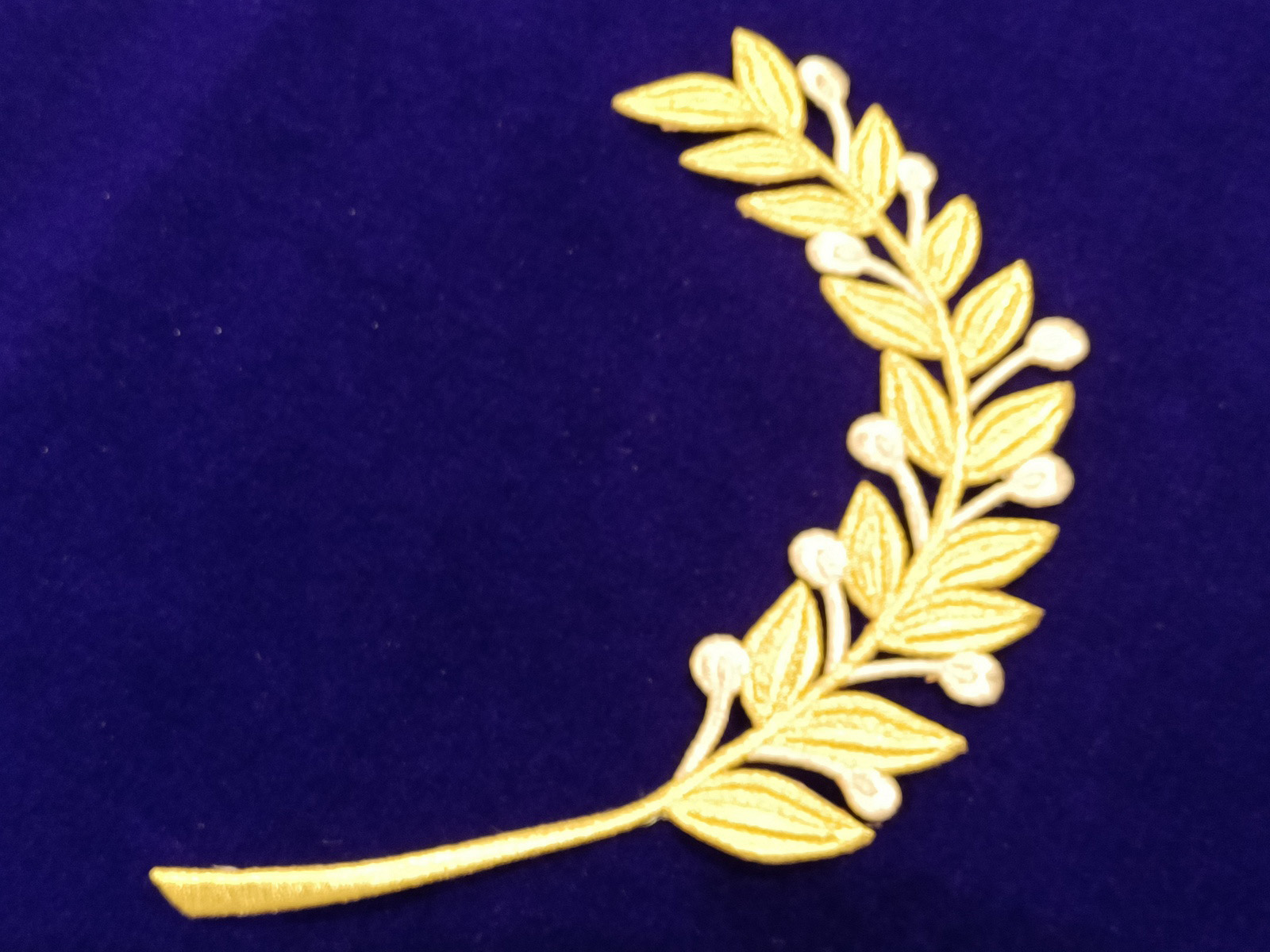 Slide Image