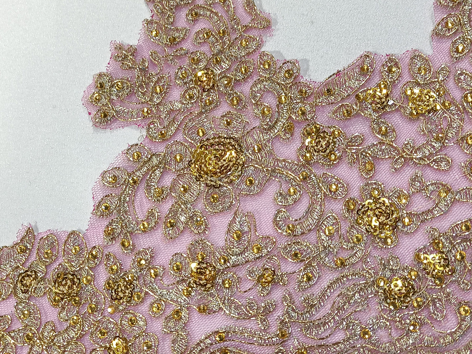 Slide Image