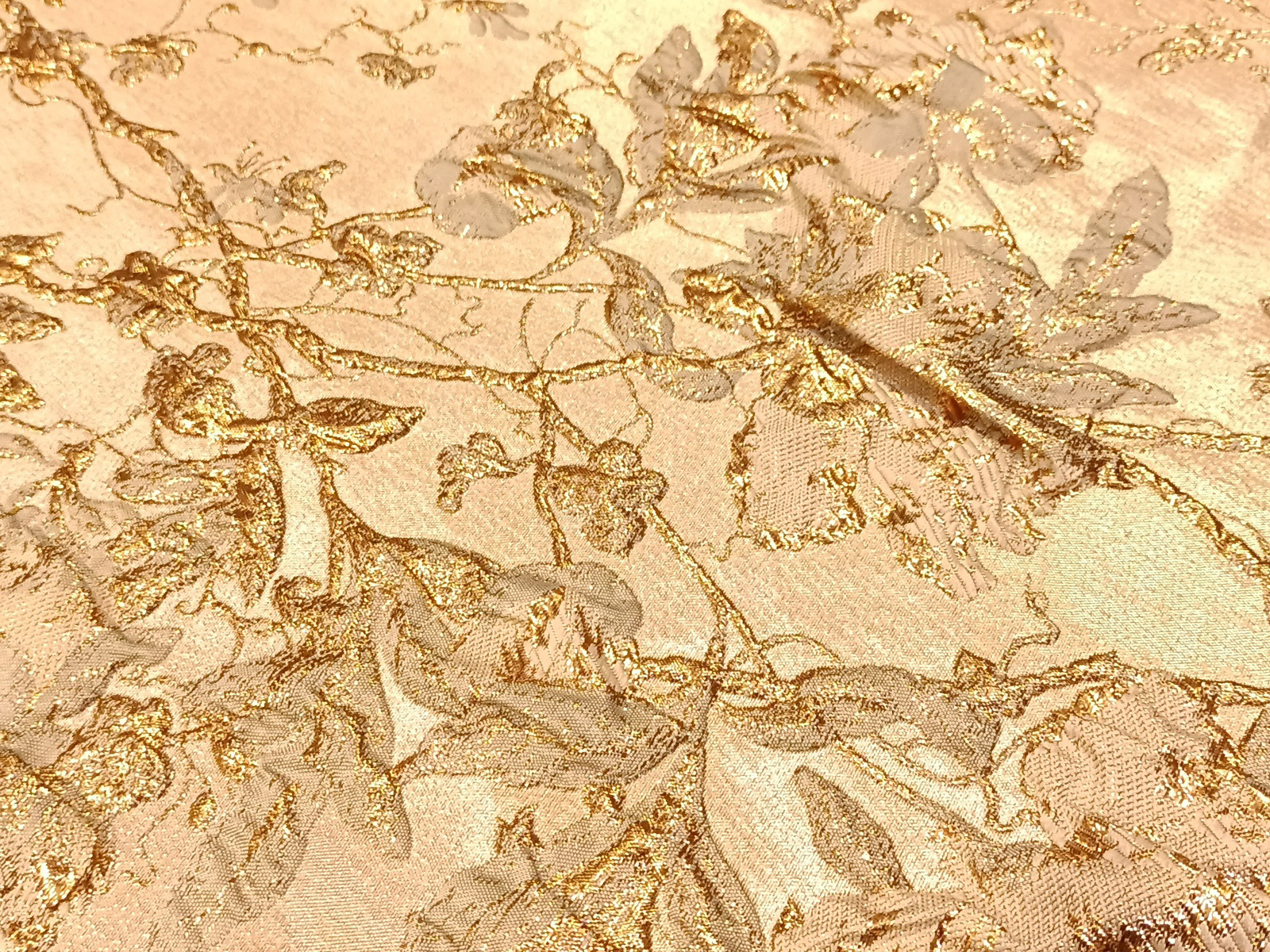 Slide Image