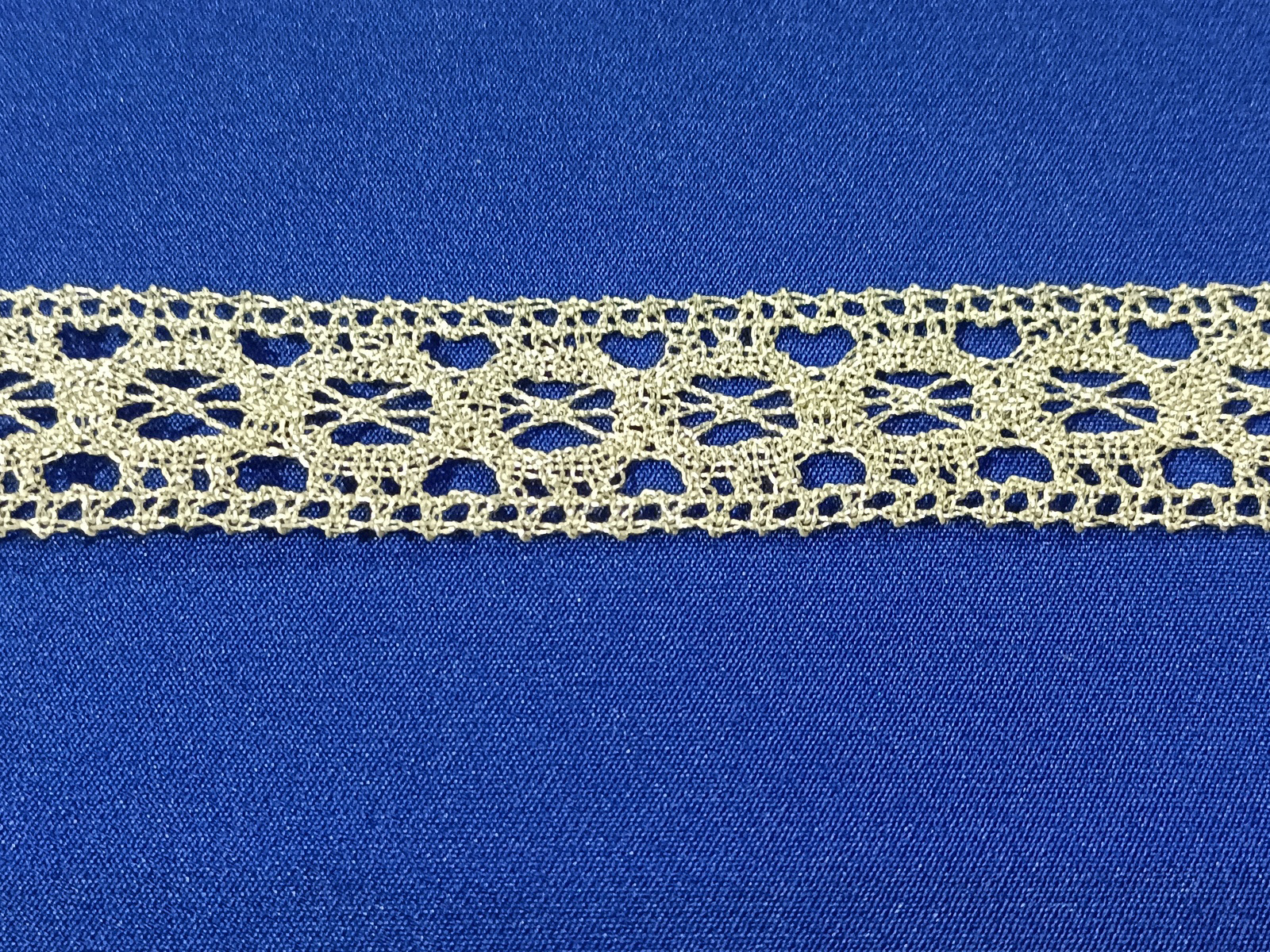 Slide Image