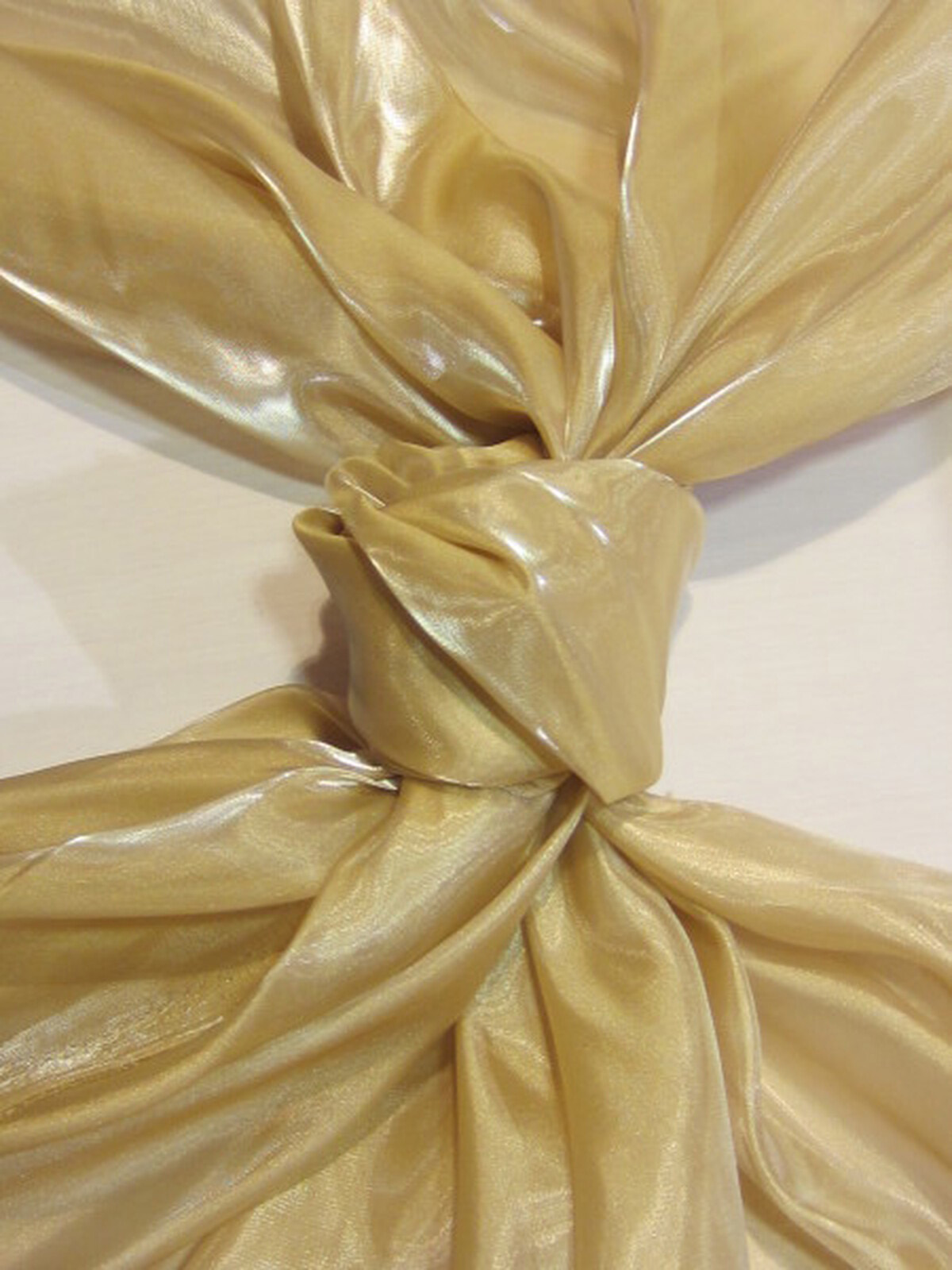 Organza de Cristal Piel