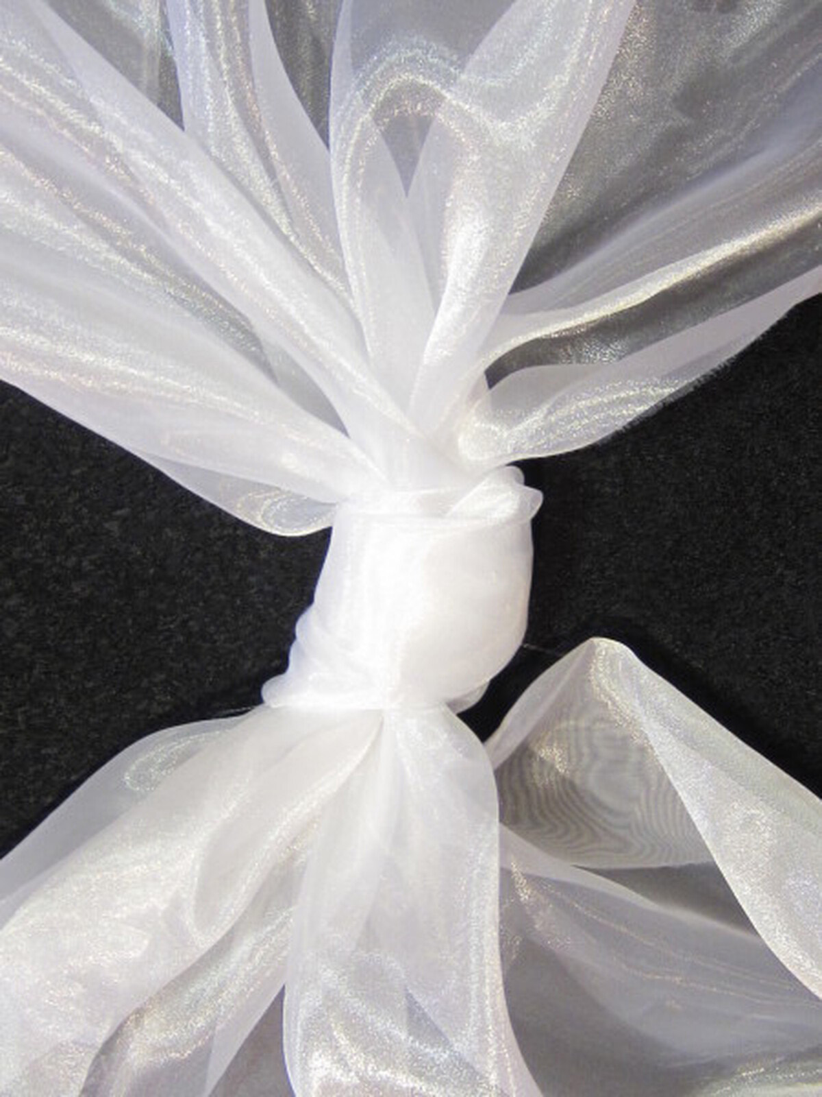 Organza de Cristal Blanco