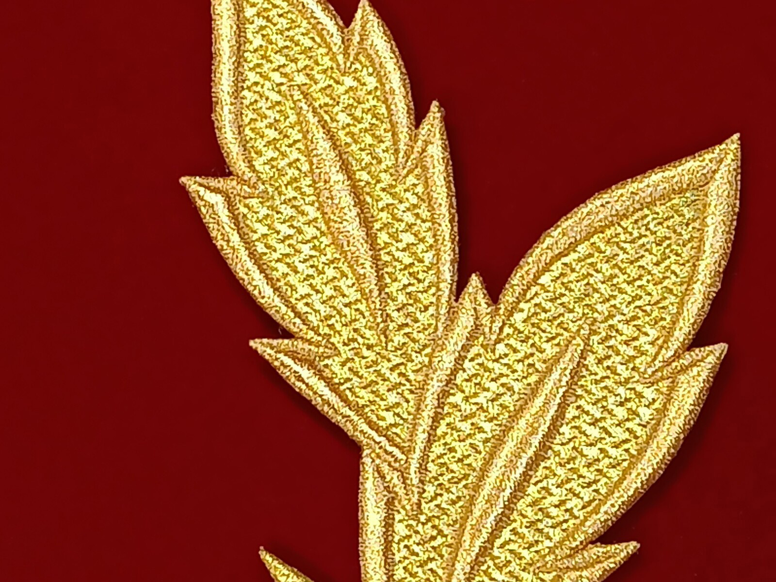 Slide Image