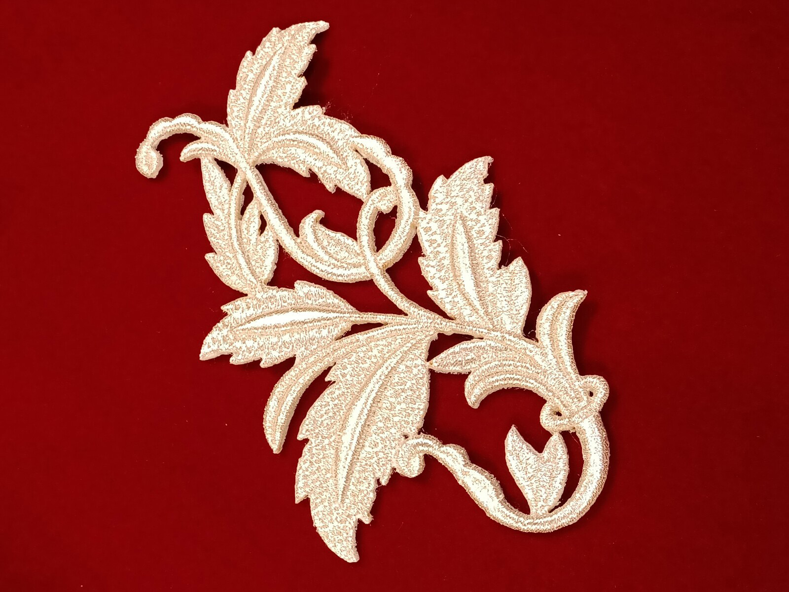 Slide Image