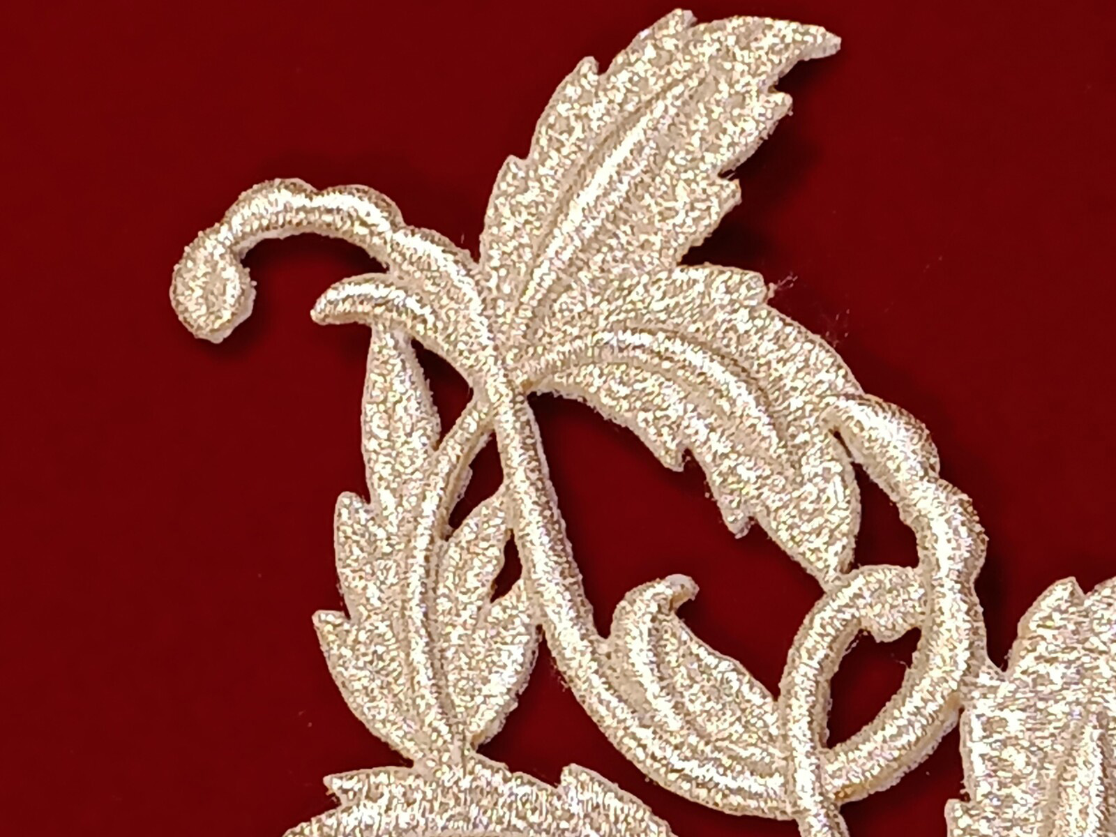 Slide Image