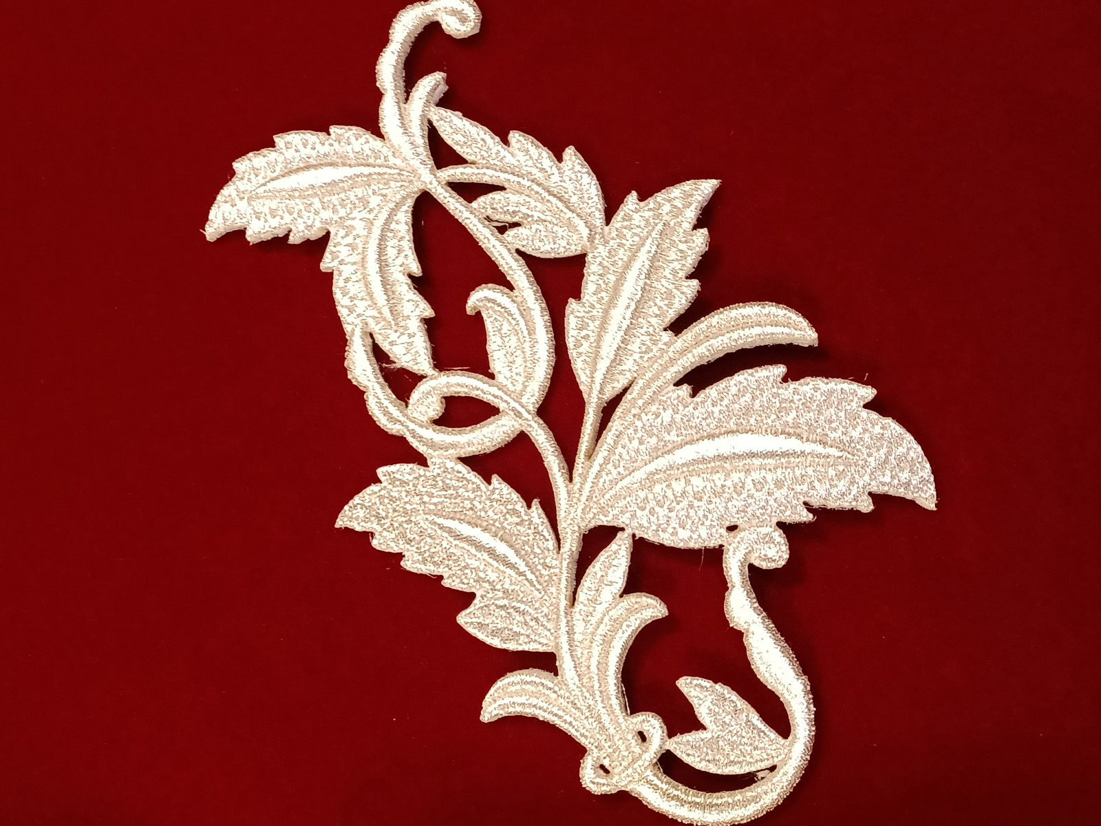 Slide Image