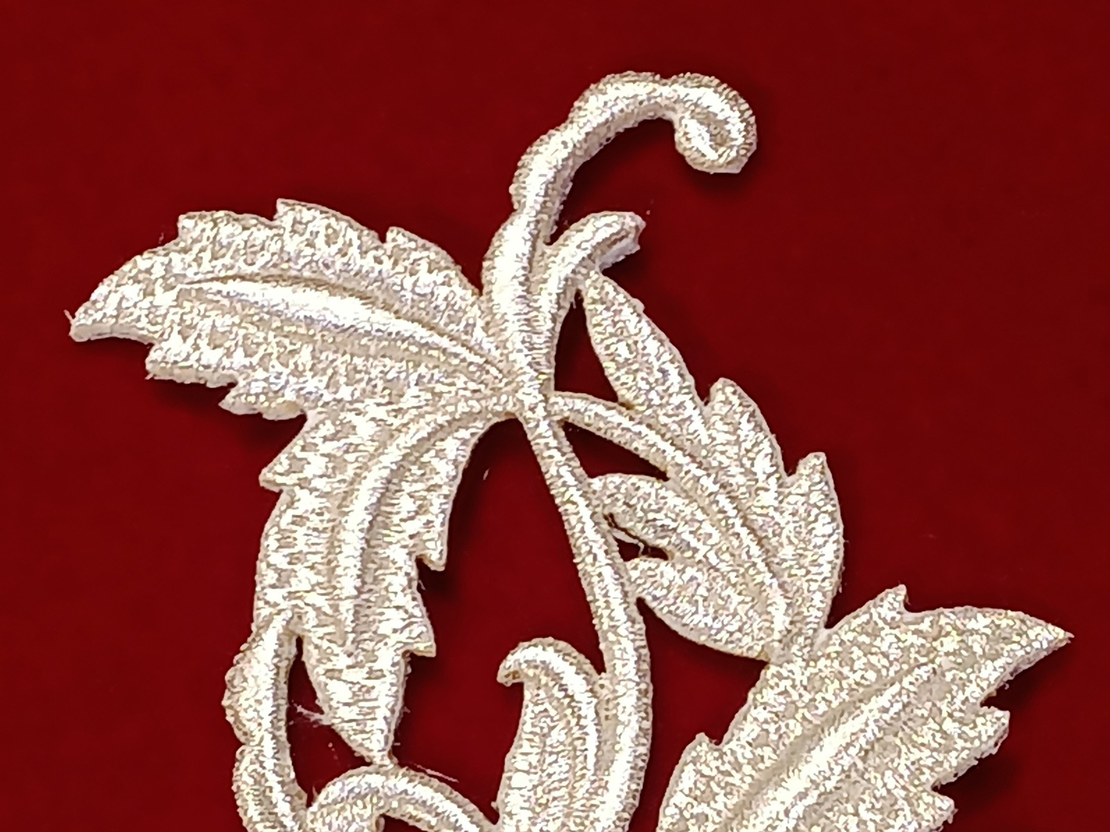 Slide Image