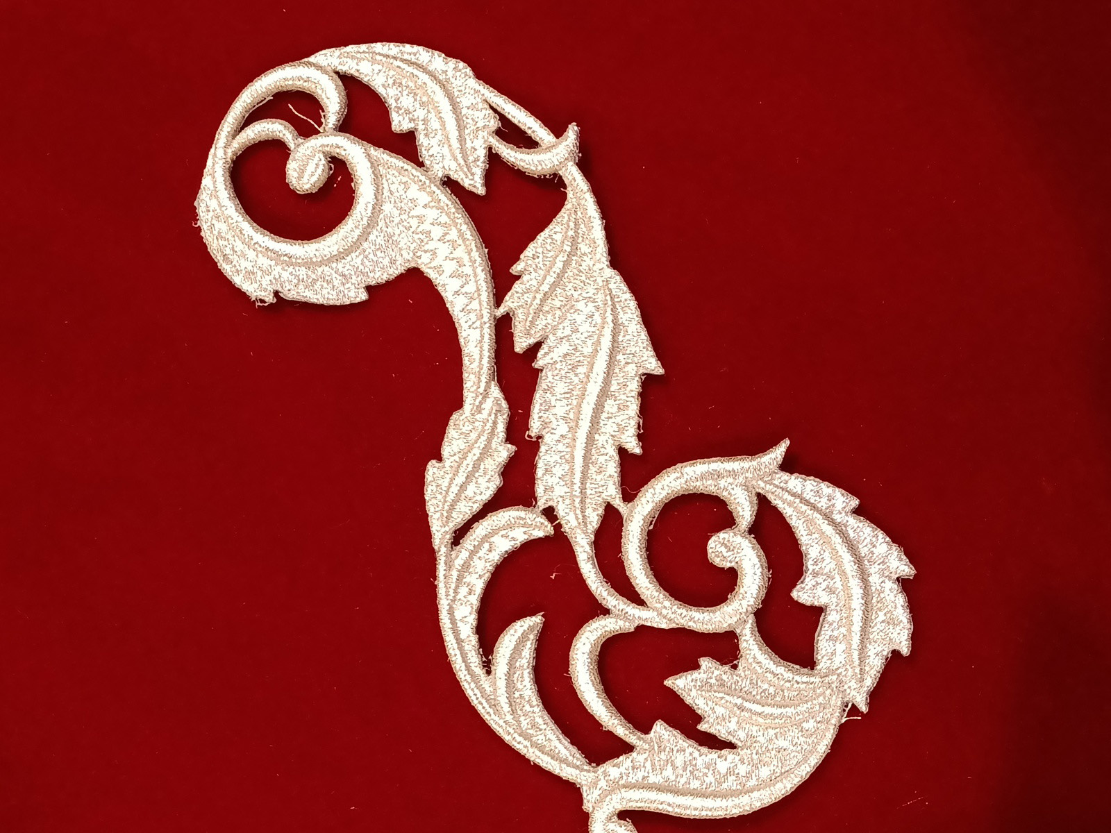 Slide Image
