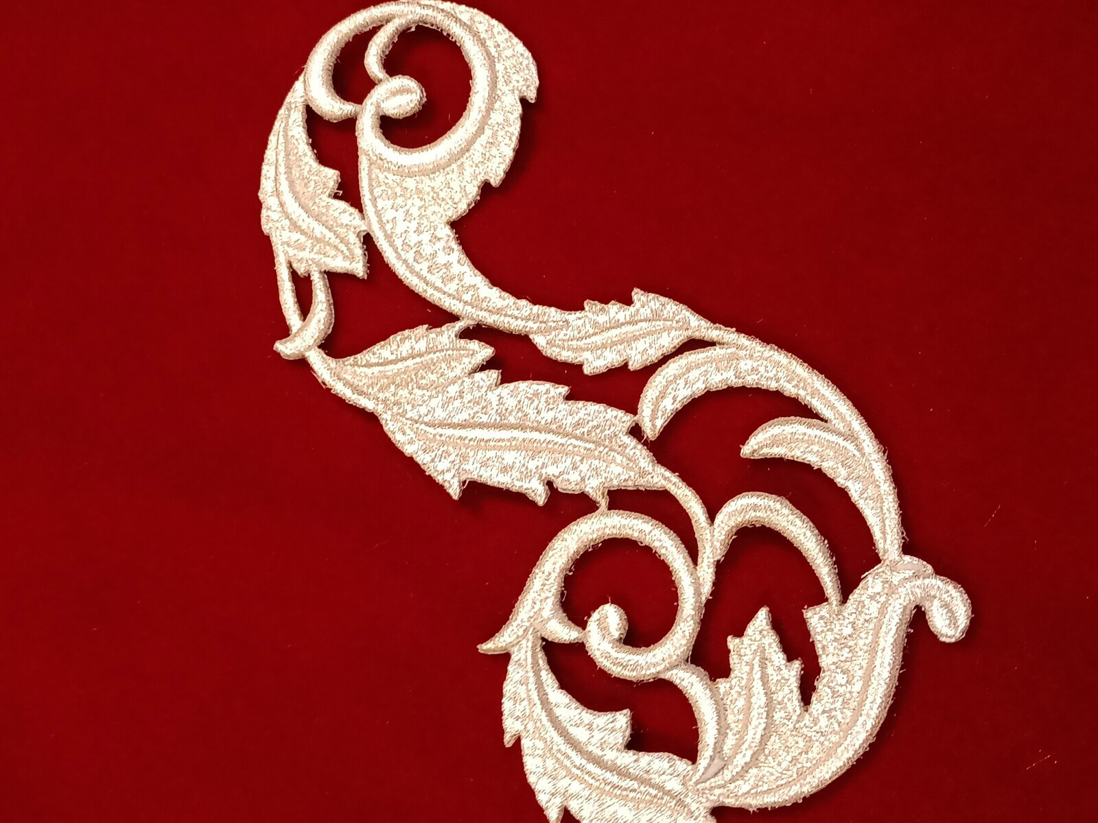 Slide Image