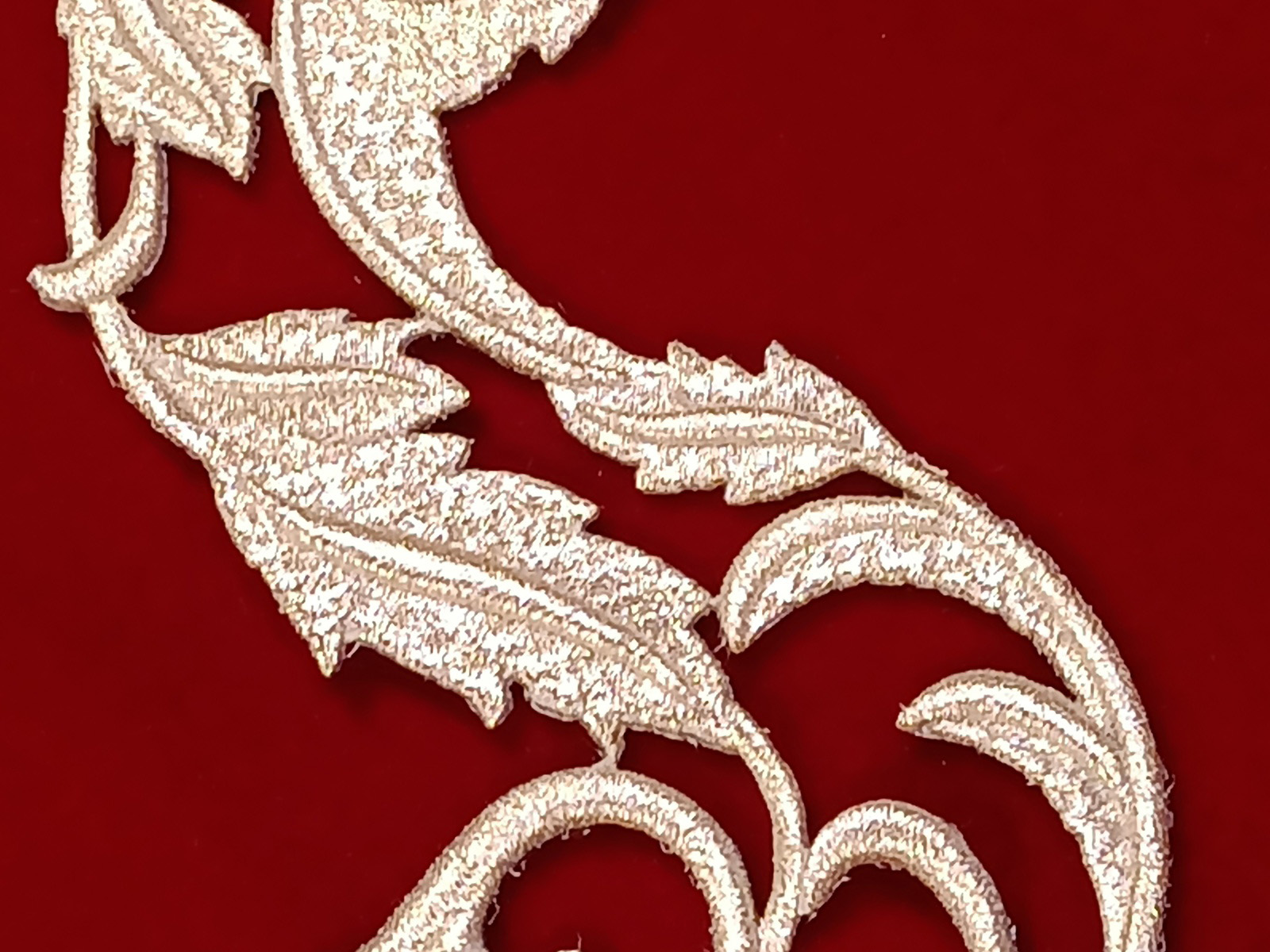 Slide Image