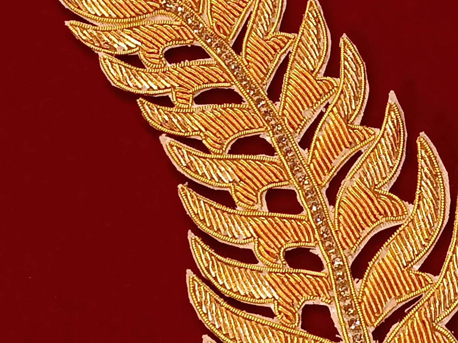 Slide Image
