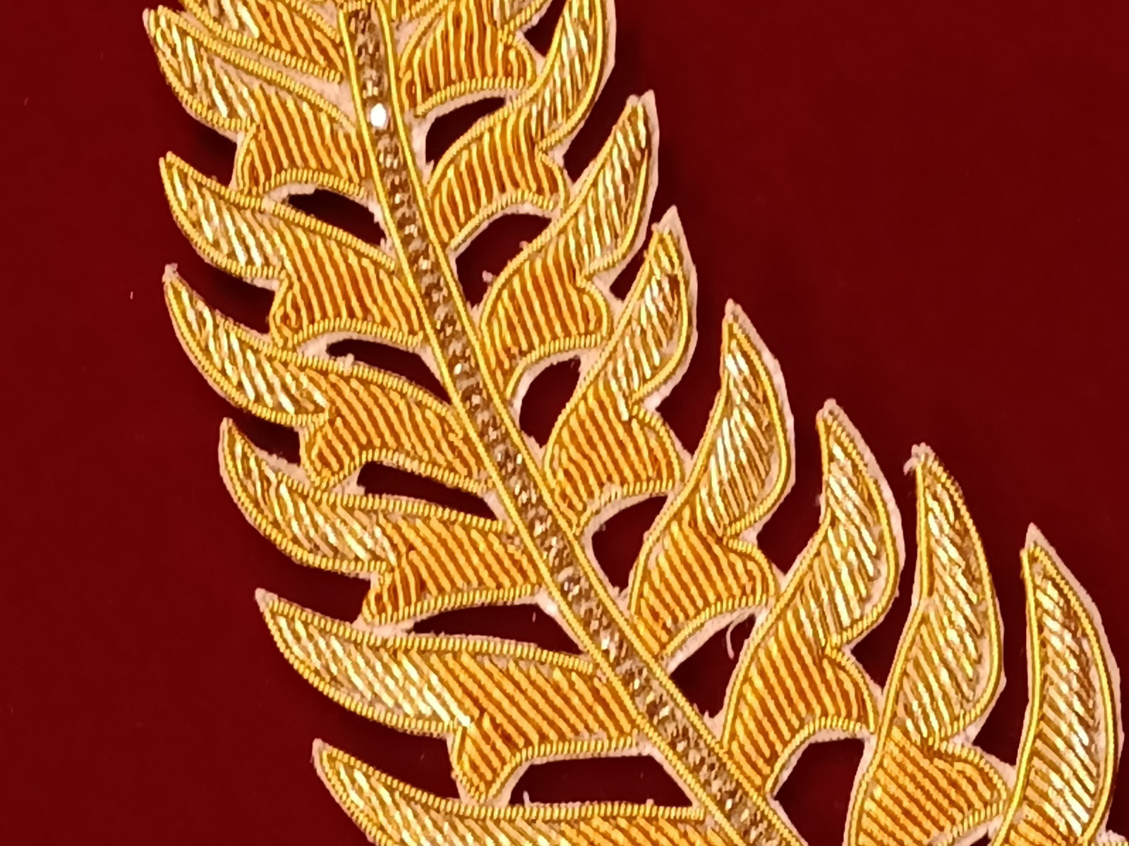 Slide Image