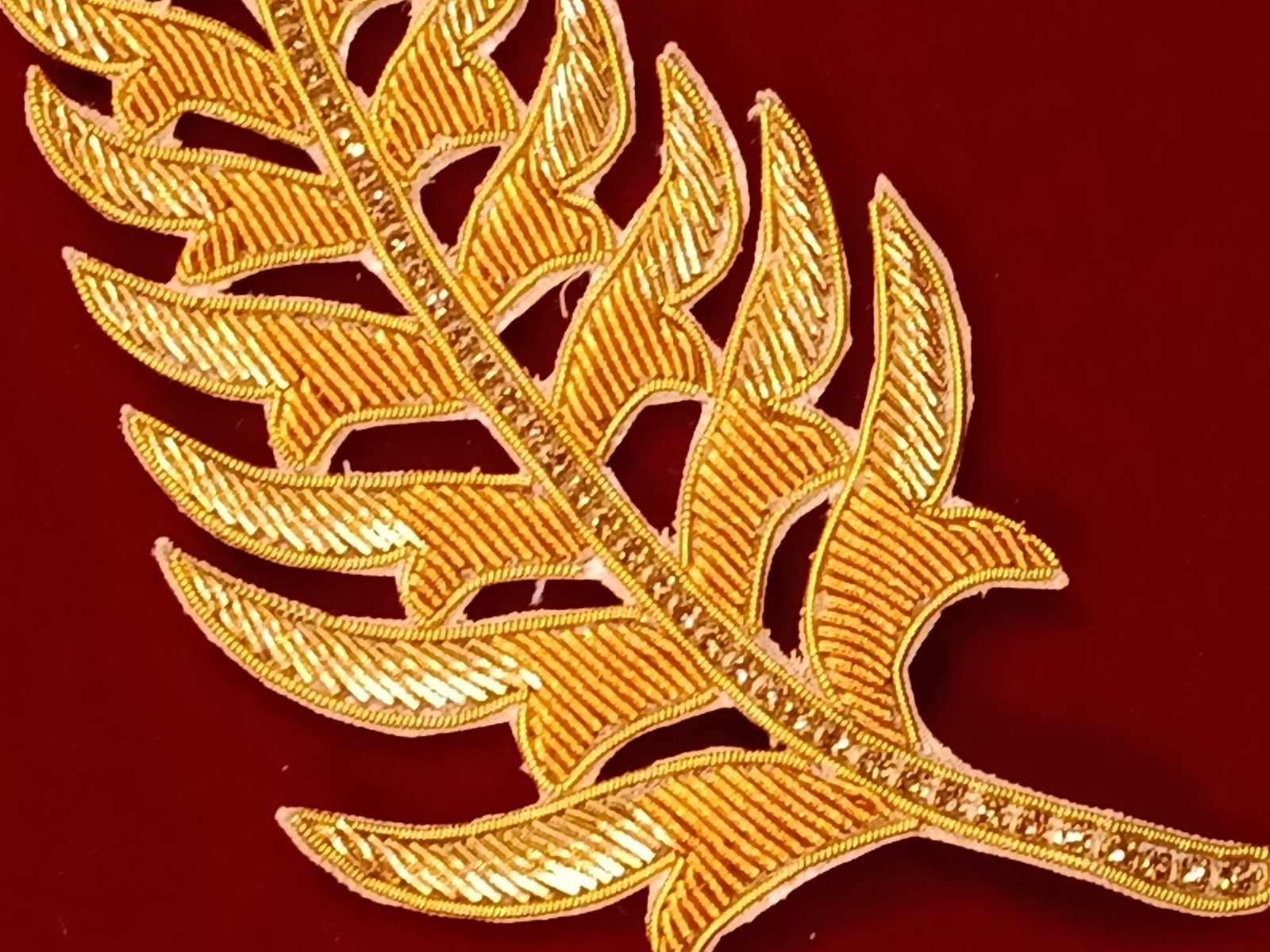 Slide Image