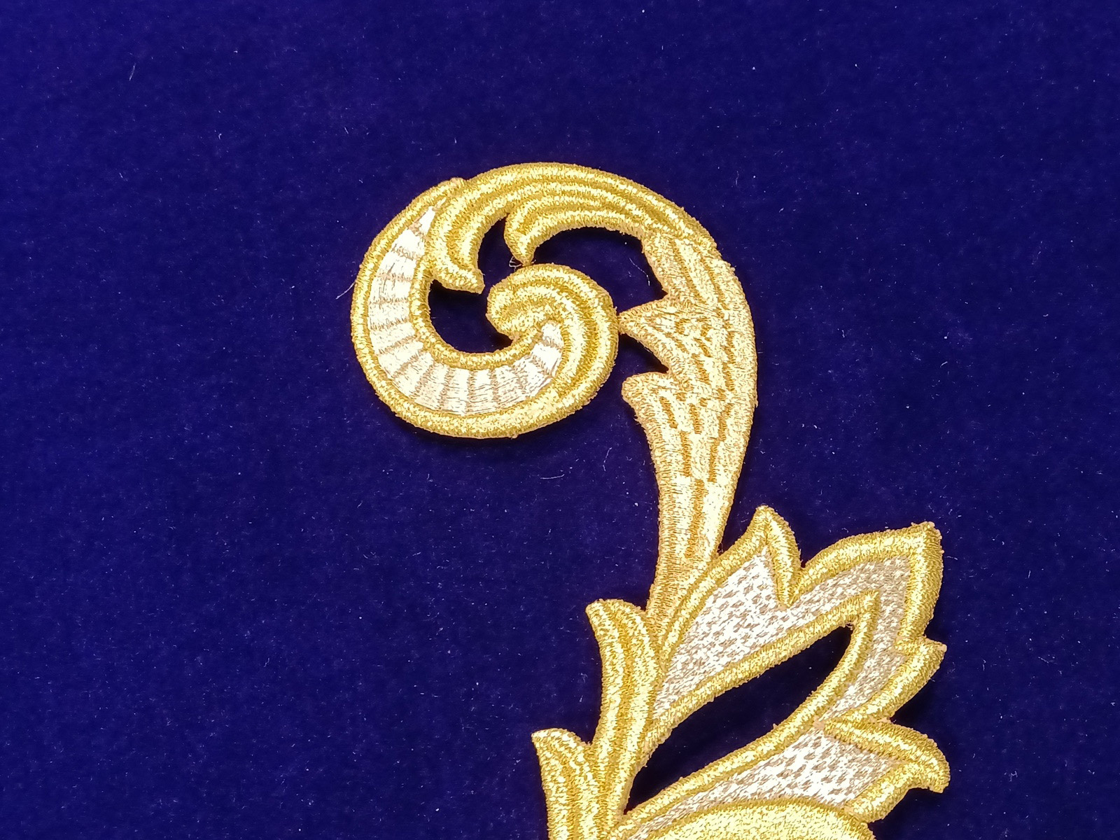 Slide Image