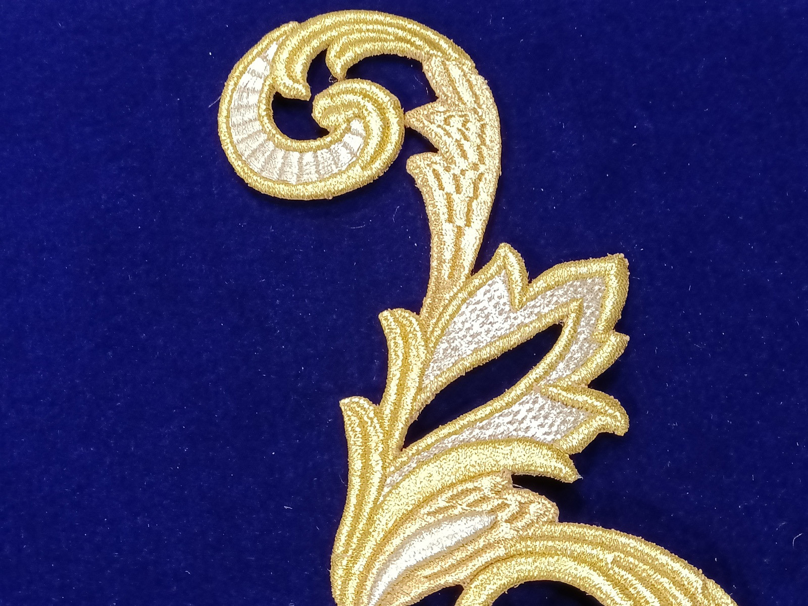 Slide Image