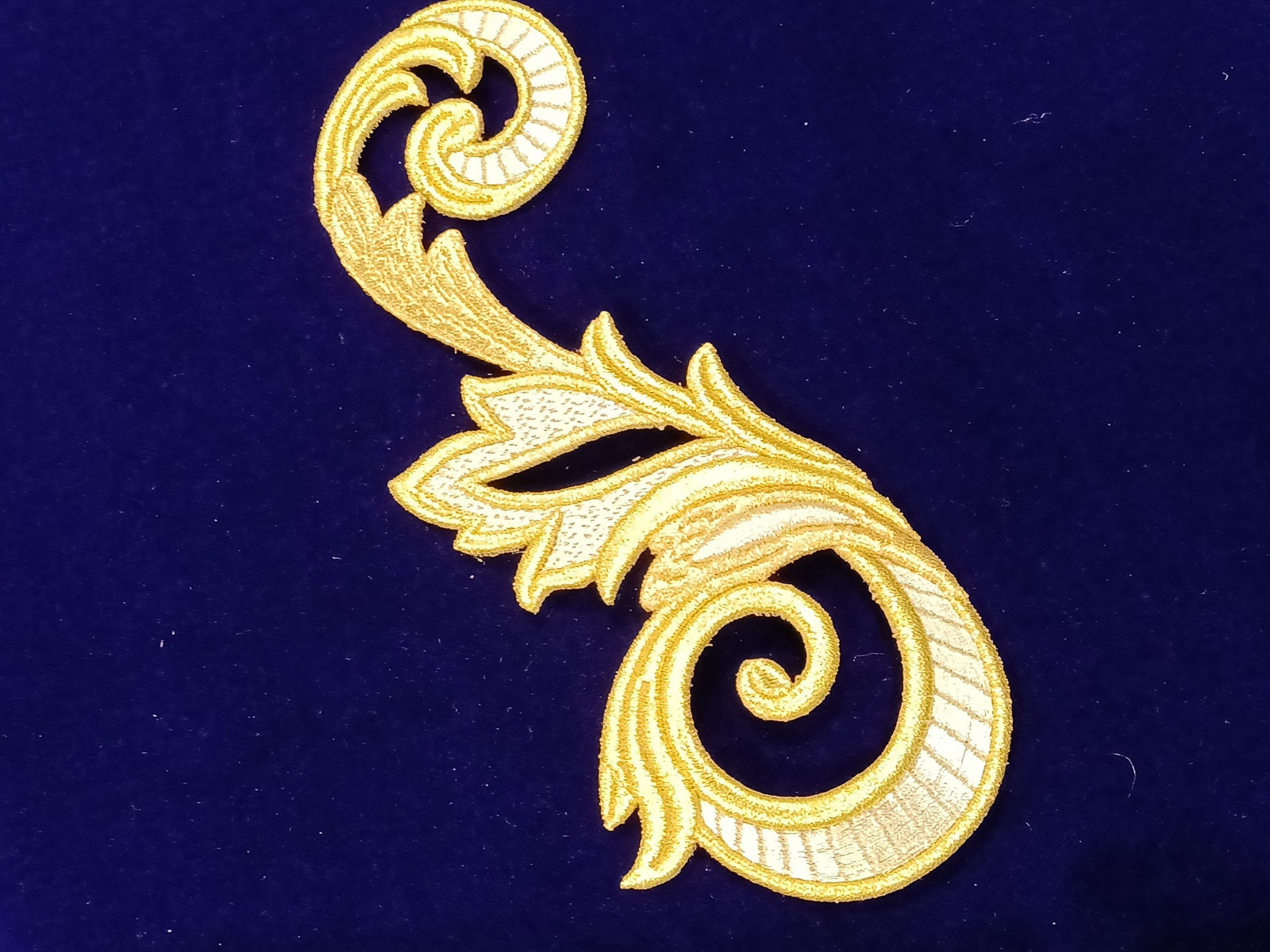 Slide Image