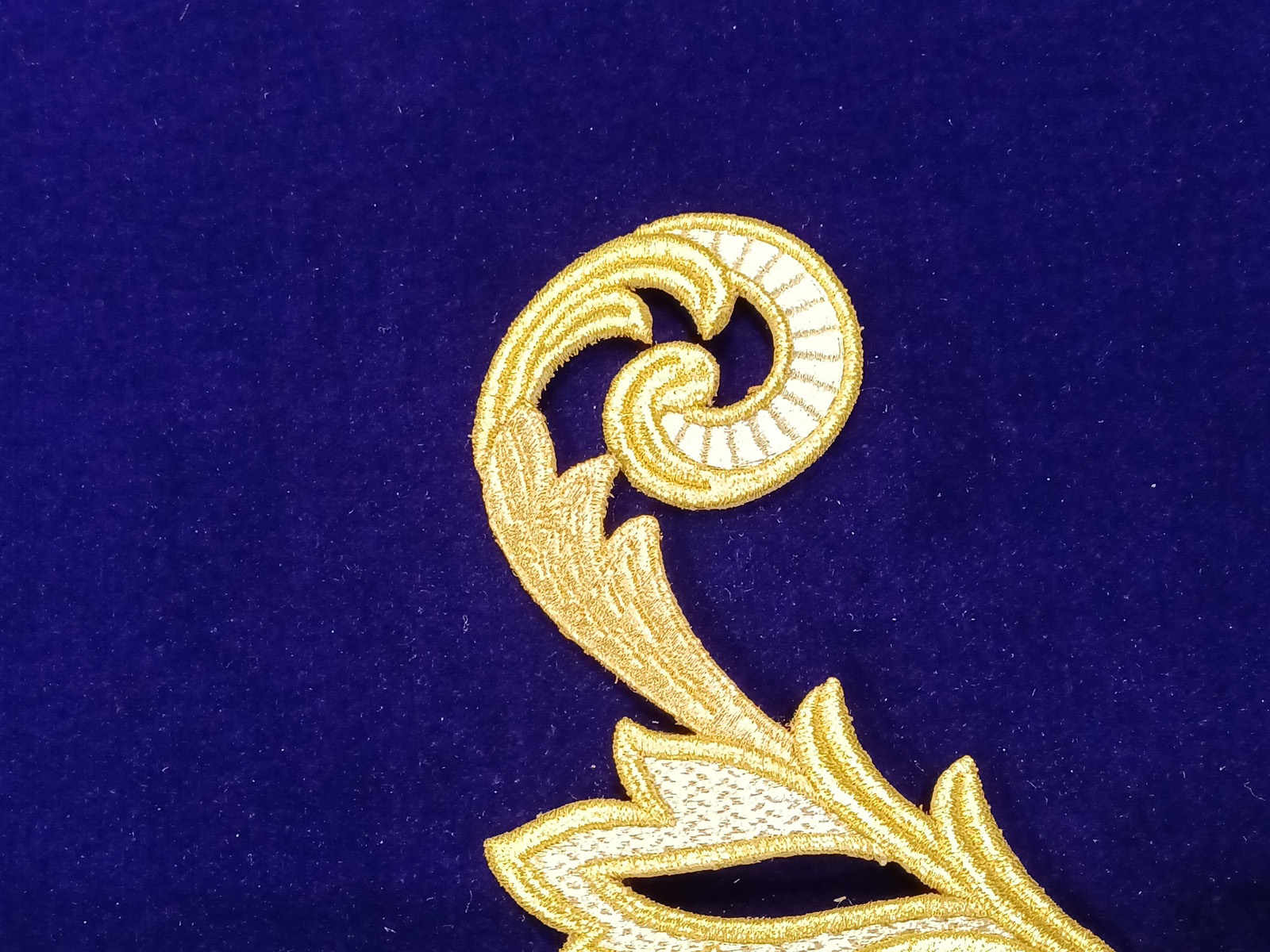 Slide Image