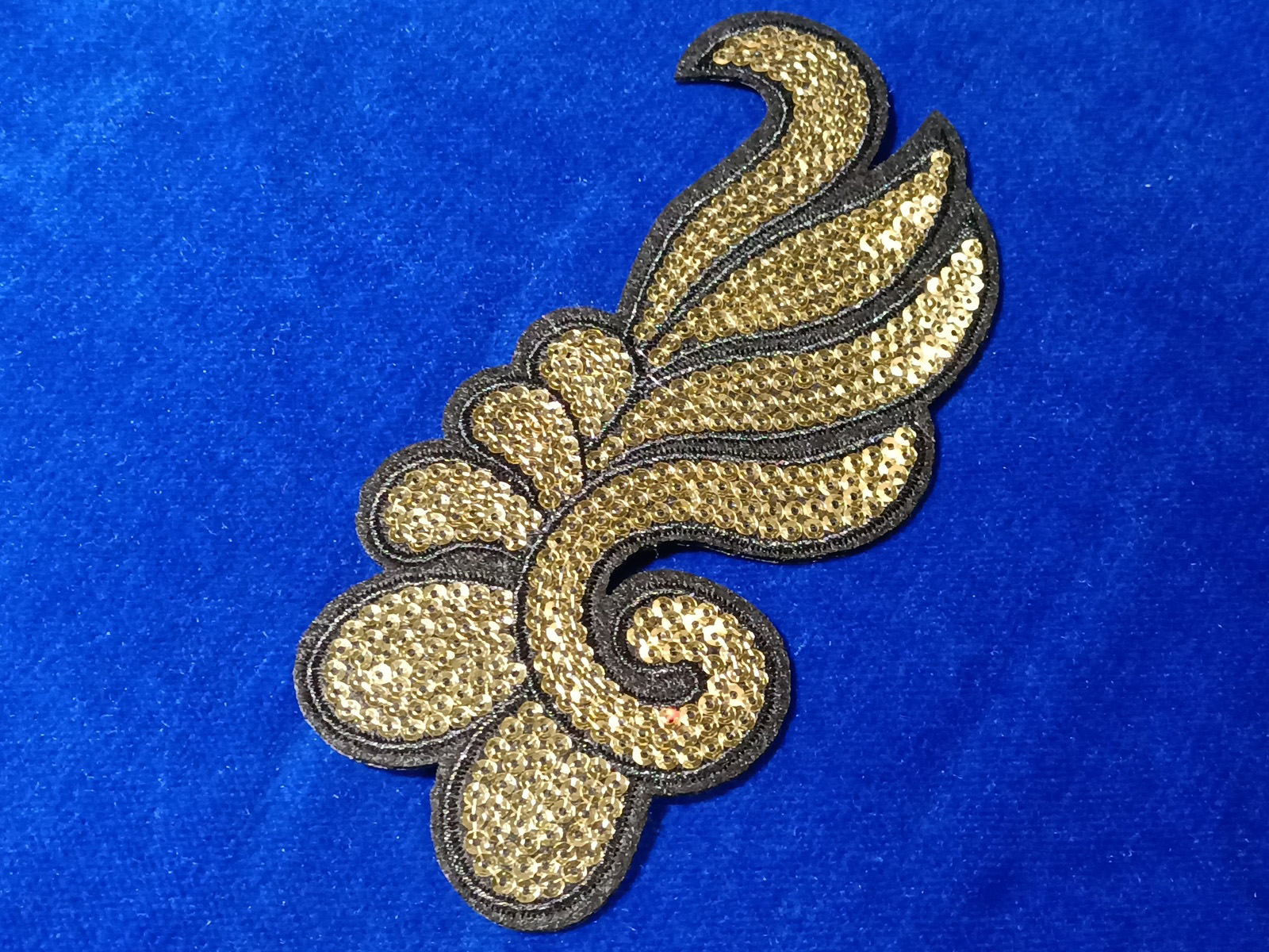 Slide Image
