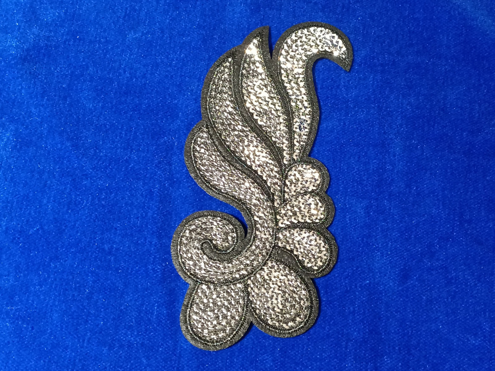 Slide Image