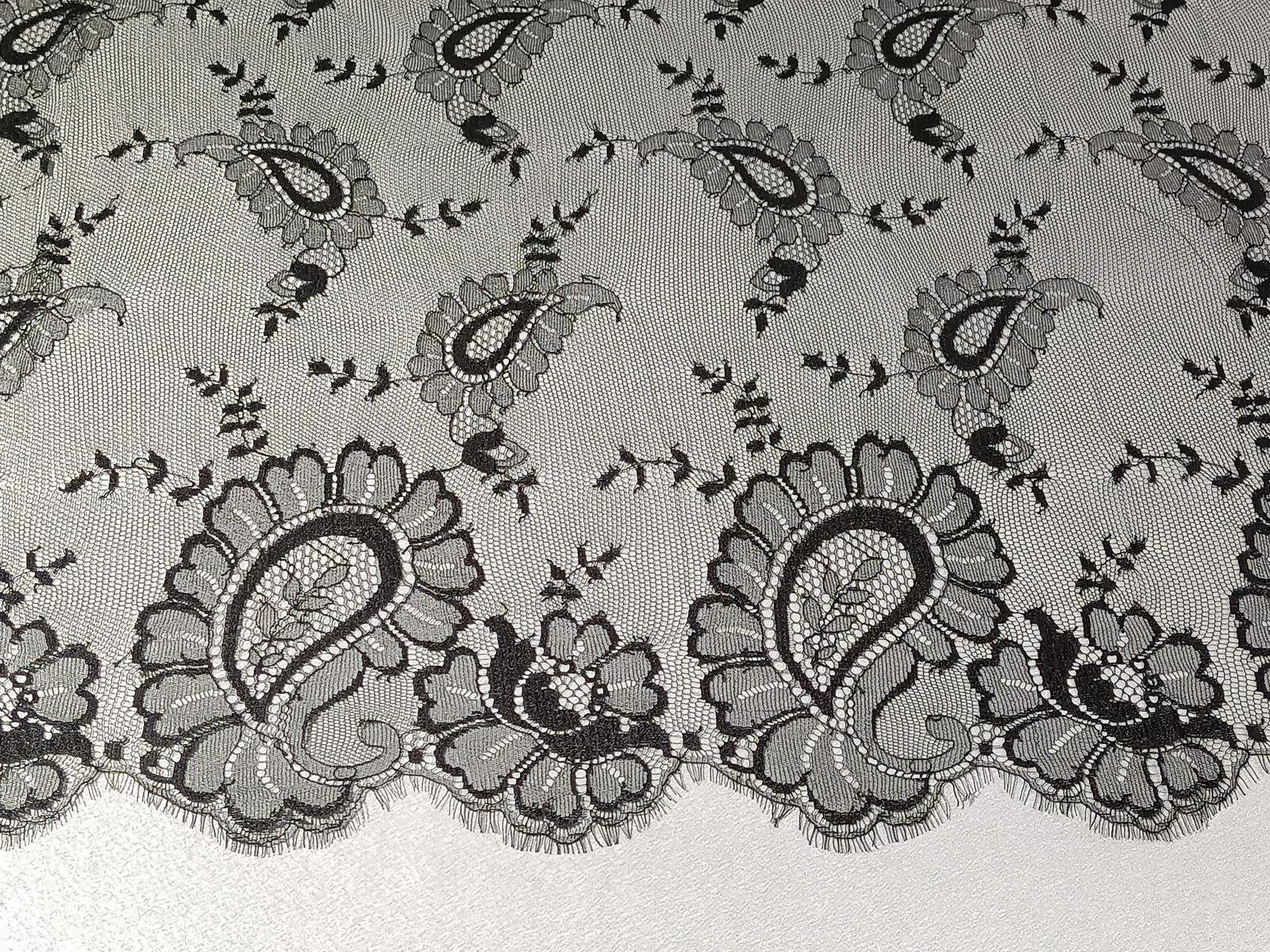 Slide Image