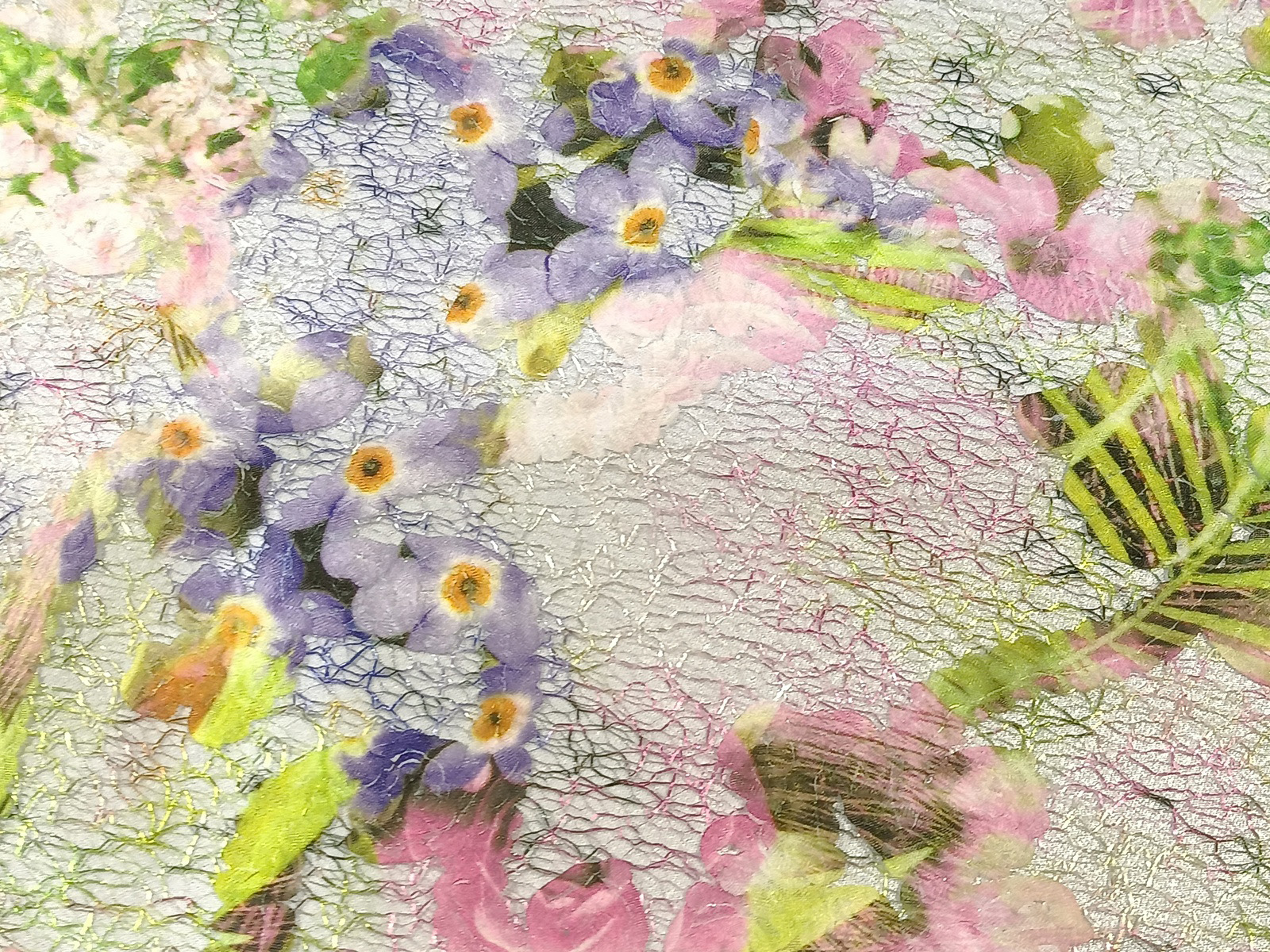 Slide Image