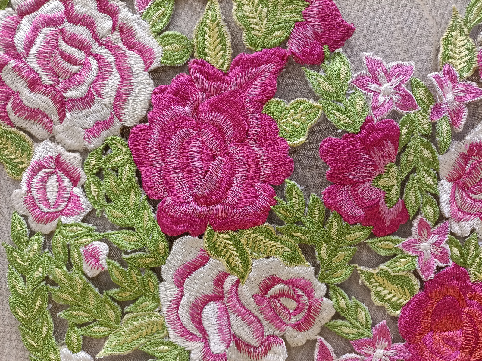 Slide Image