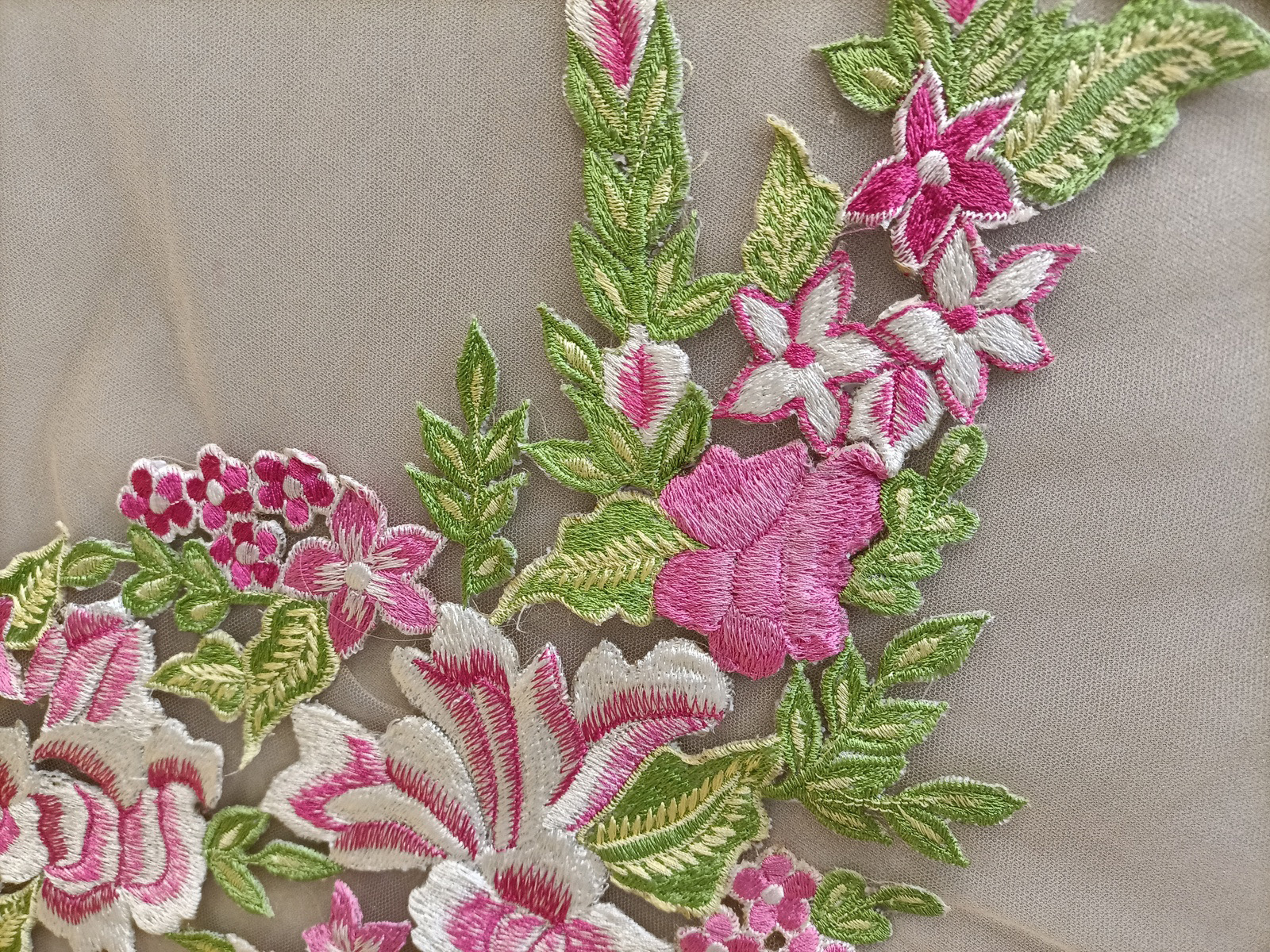 Slide Image