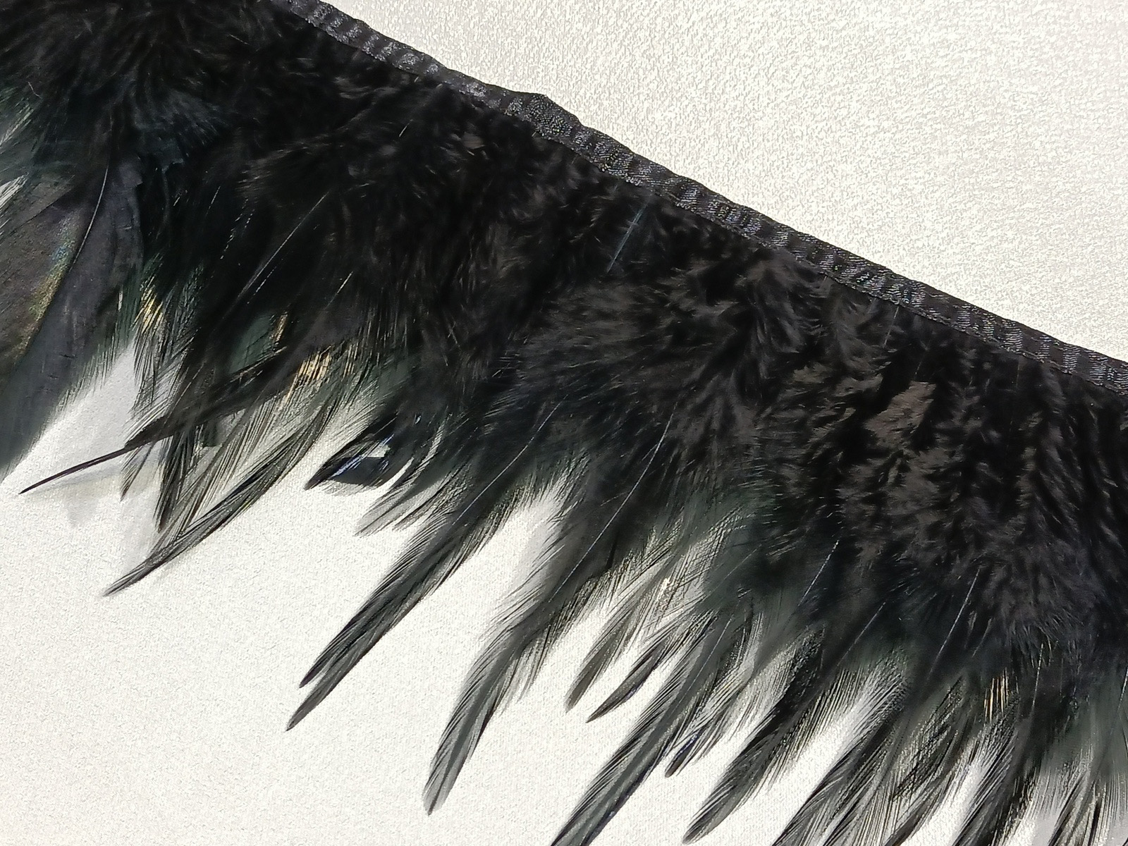 Fleco Pluma Gallo Negro