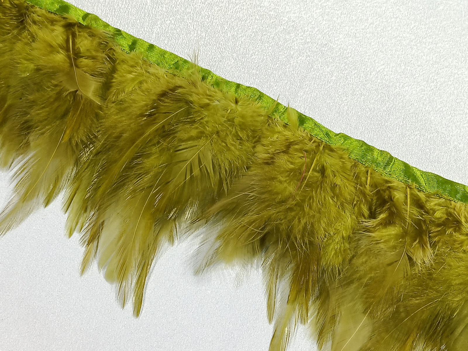 Fleco Pluma Gallo Verde Lima