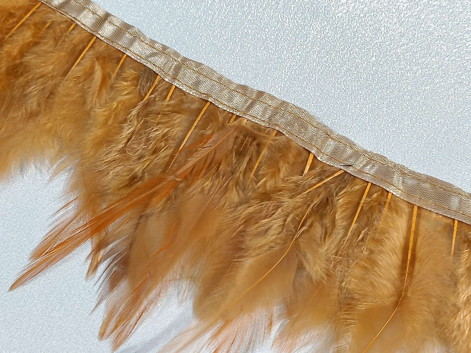 Fleco Pluma Gallo Caldera