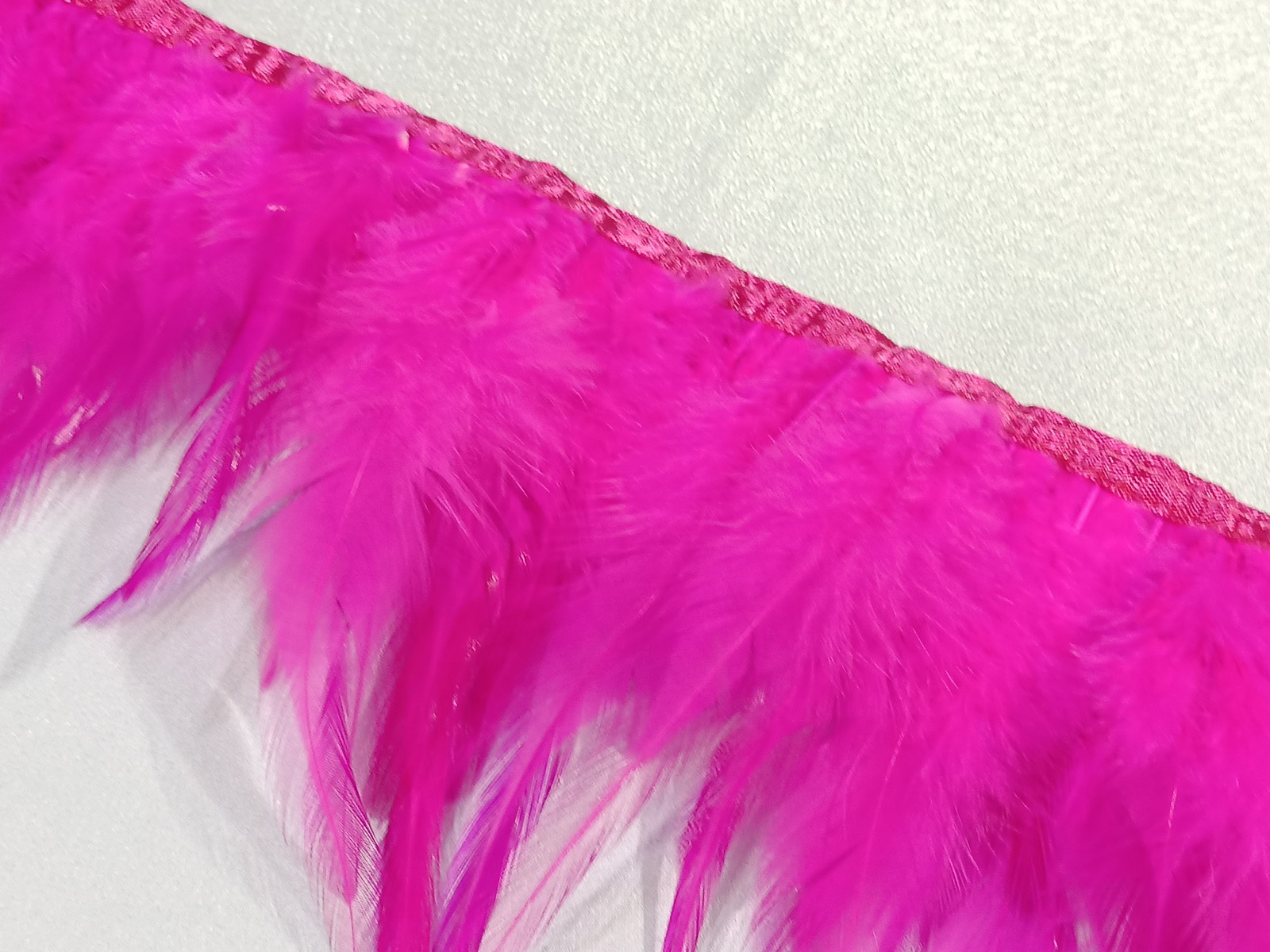 Fleco Pluma Gallo Fucxia