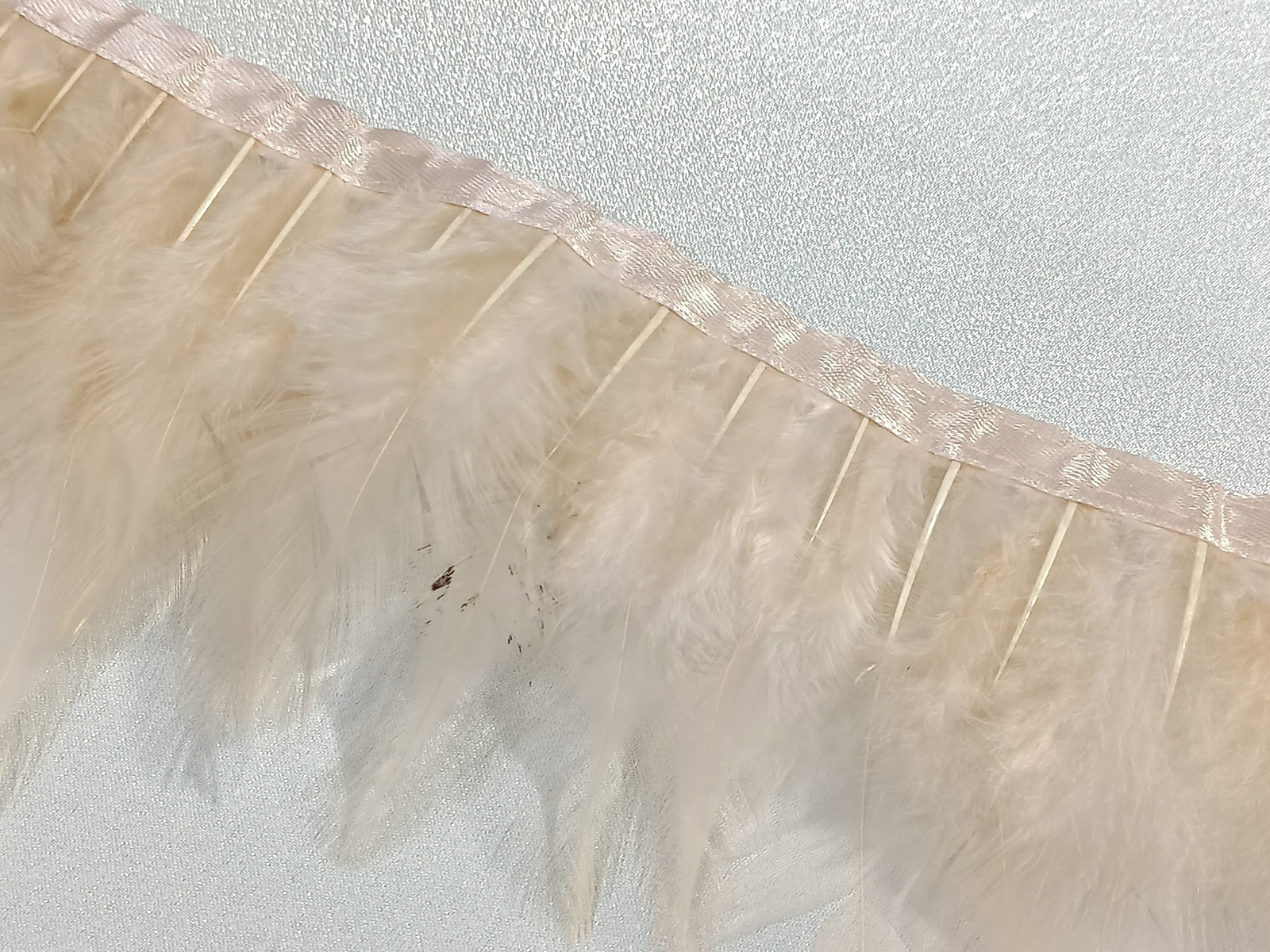 Fleco Pluma Gallo Crema