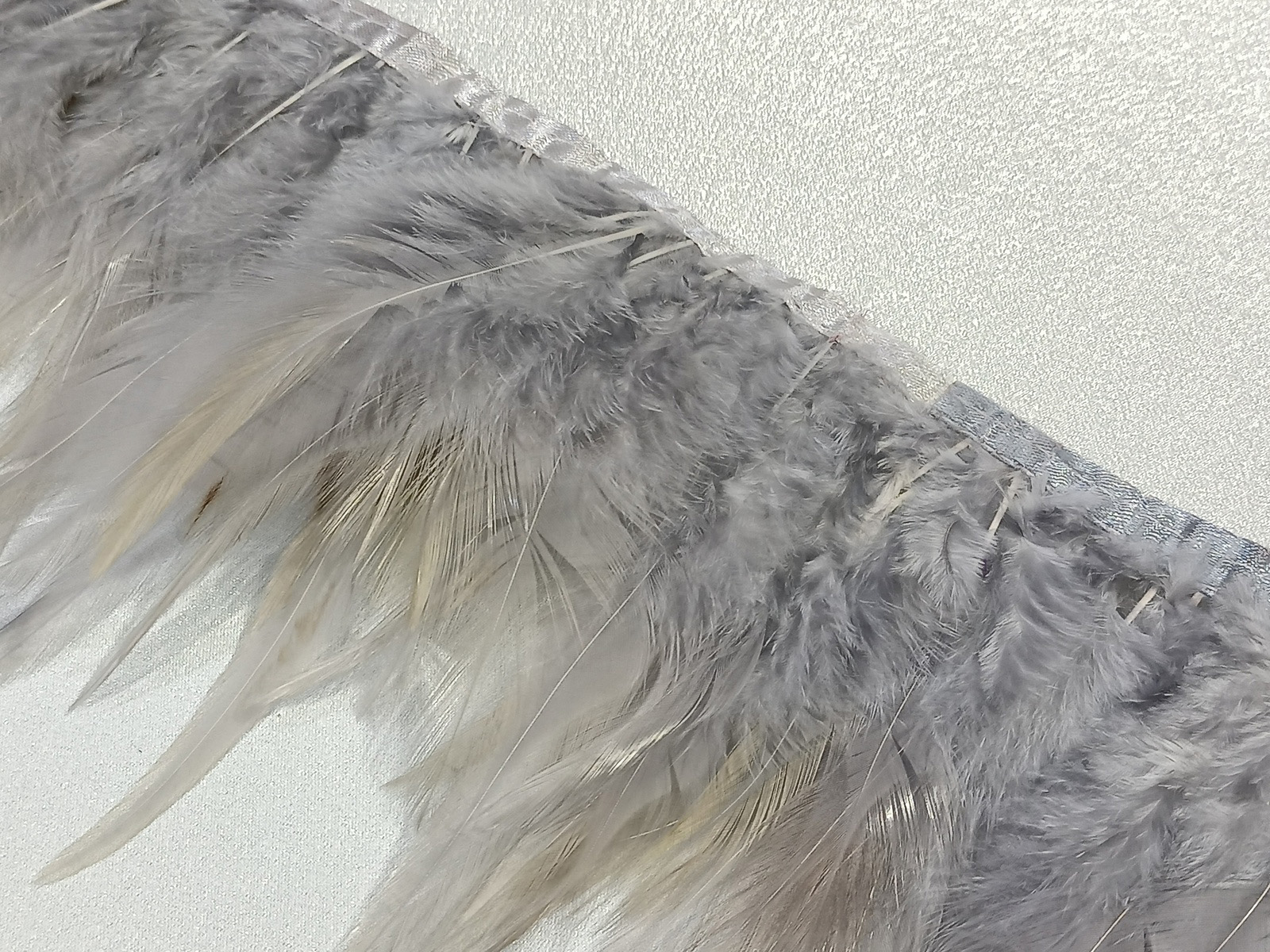 Fleco Pluma Gallo Gris Perla