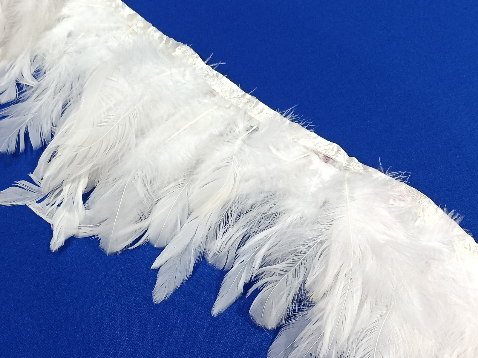 Fleco Pluma Gallo Blanco