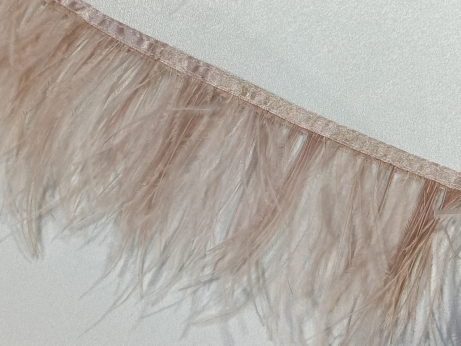 FLeco Pluma Austrich Simple Bisón