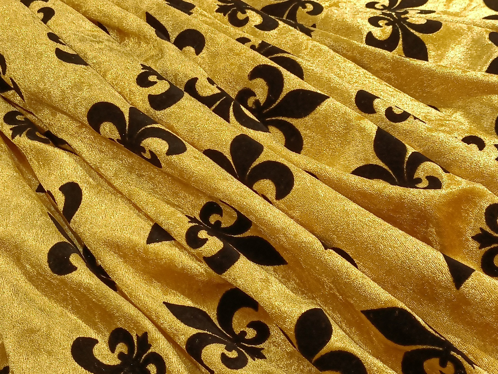 Slide Image