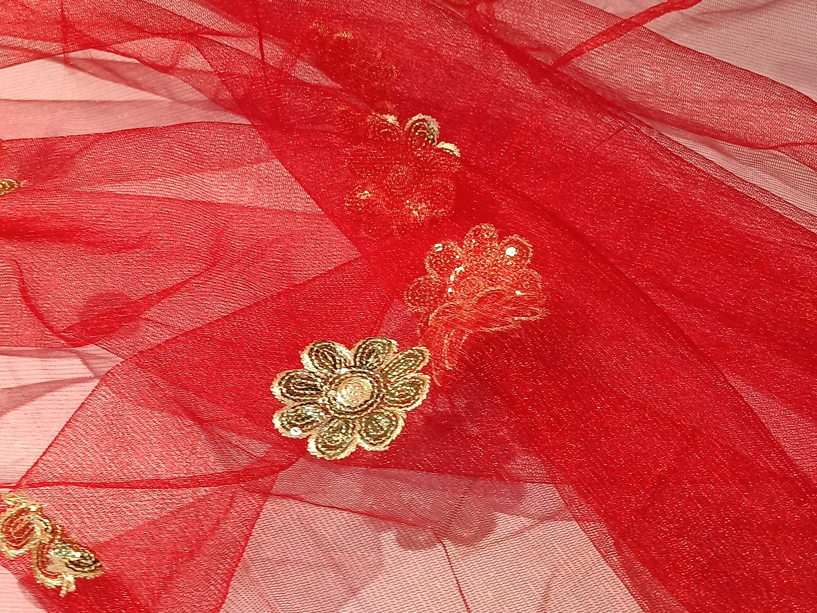 Slide Image