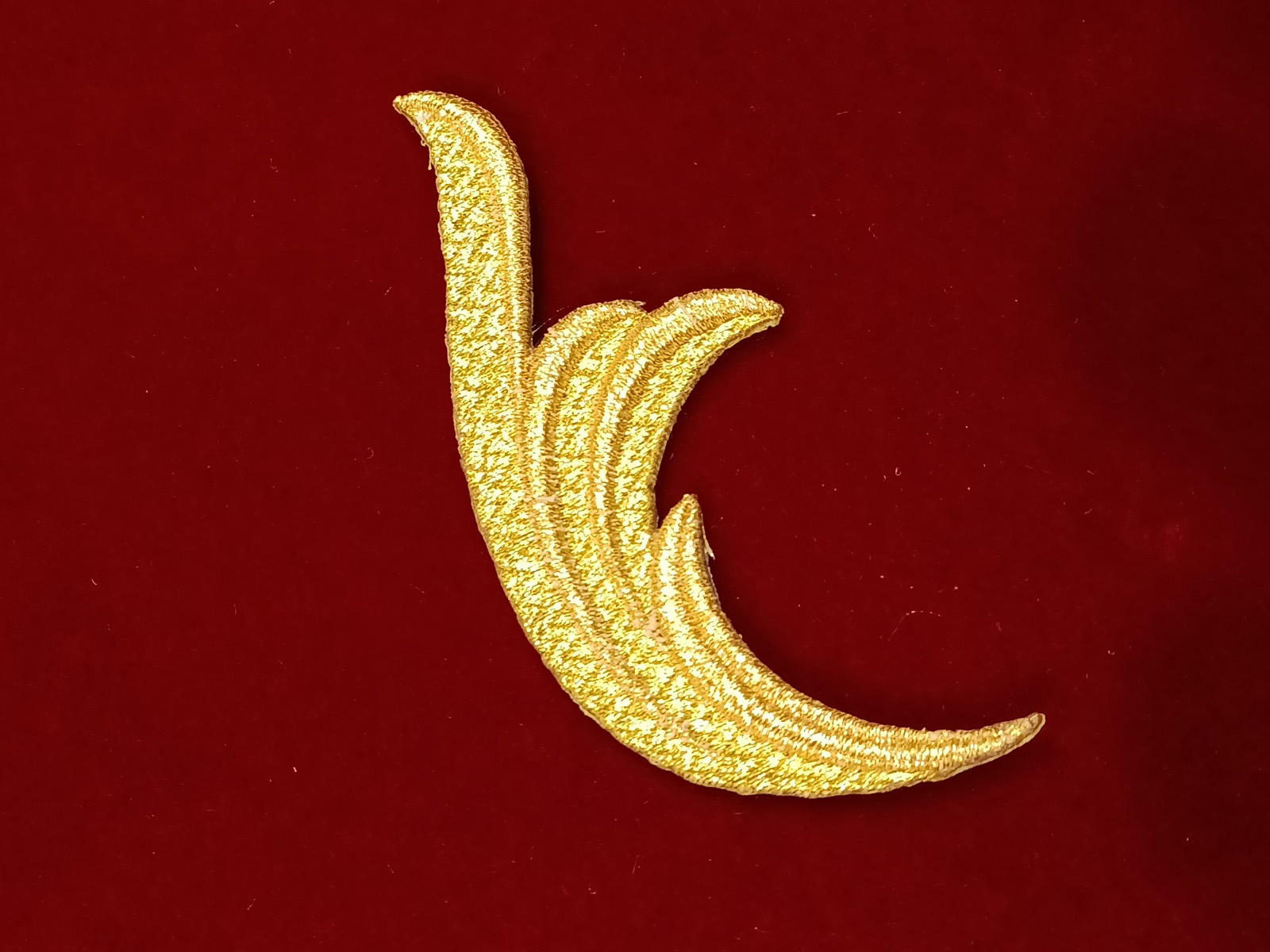 Slide Image