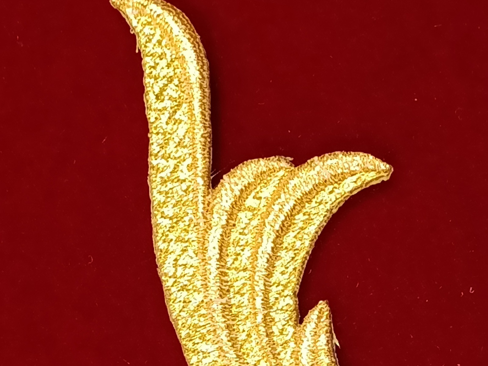 Slide Image