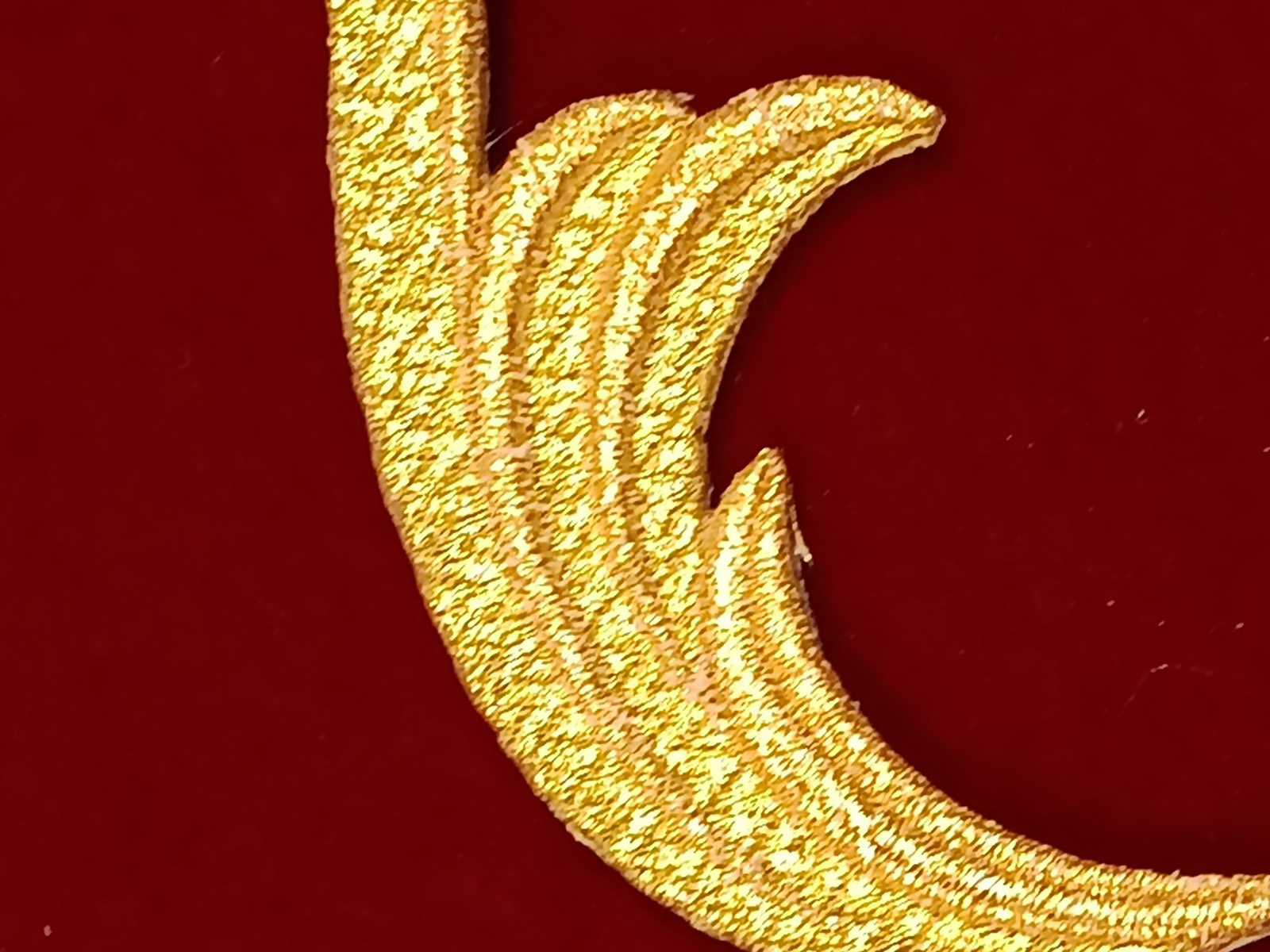 Slide Image