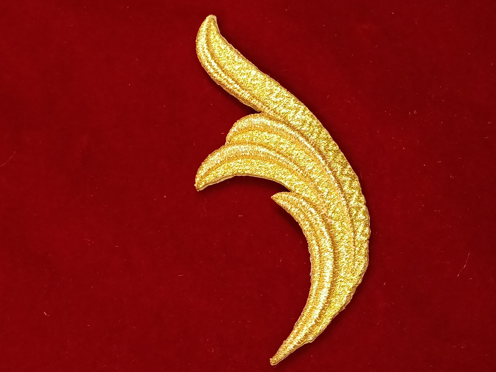 Slide Image
