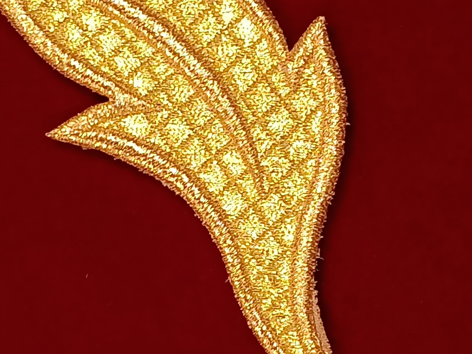Slide Image