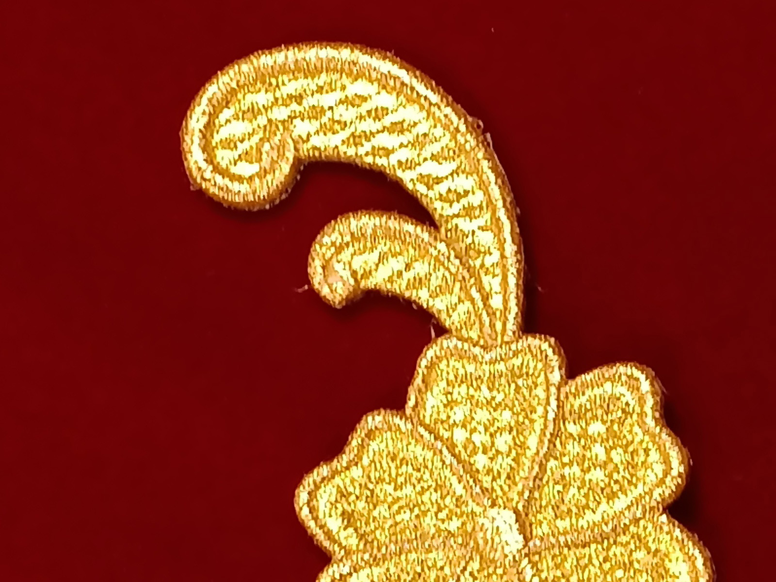 Slide Image