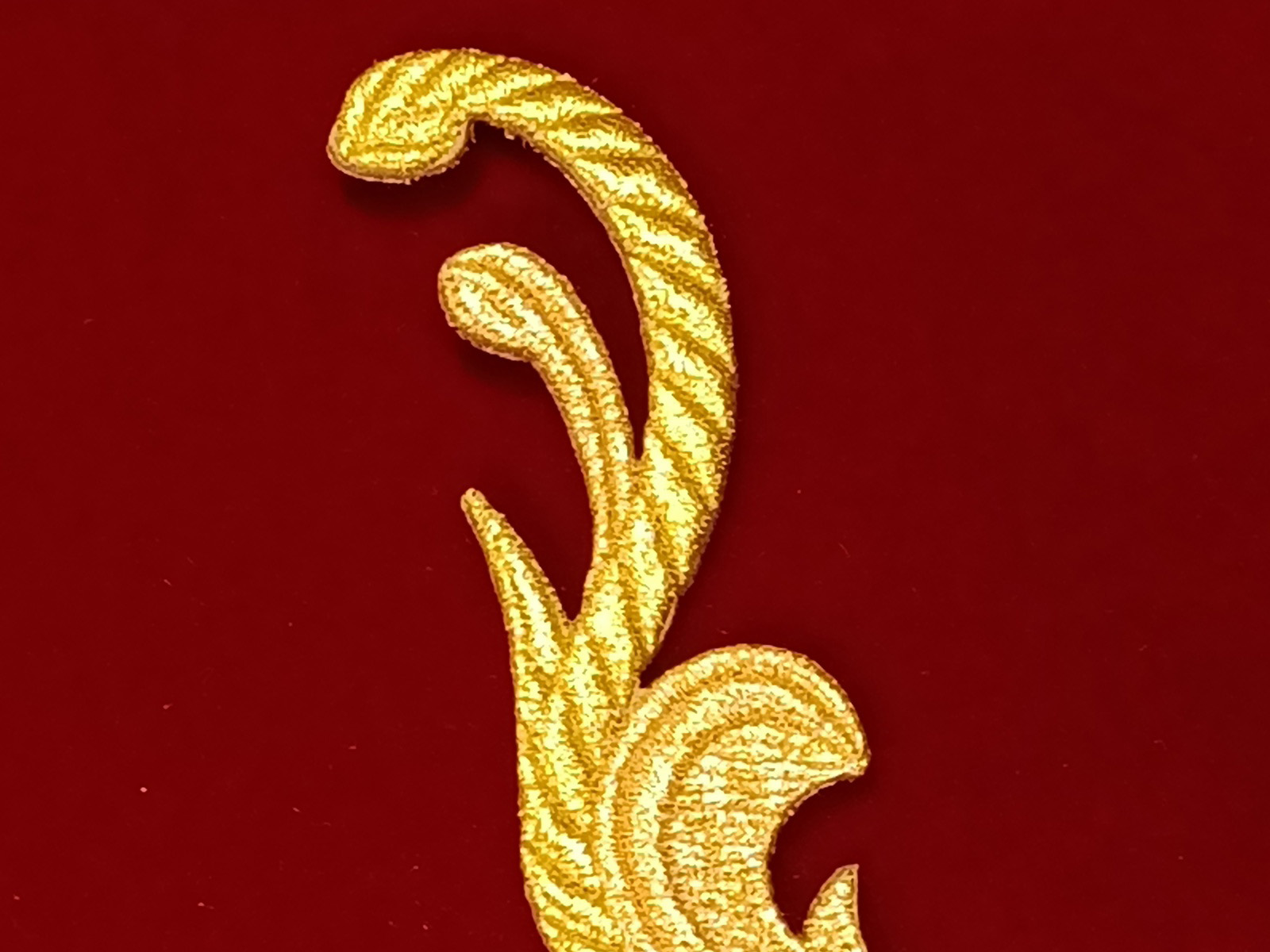 Slide Image